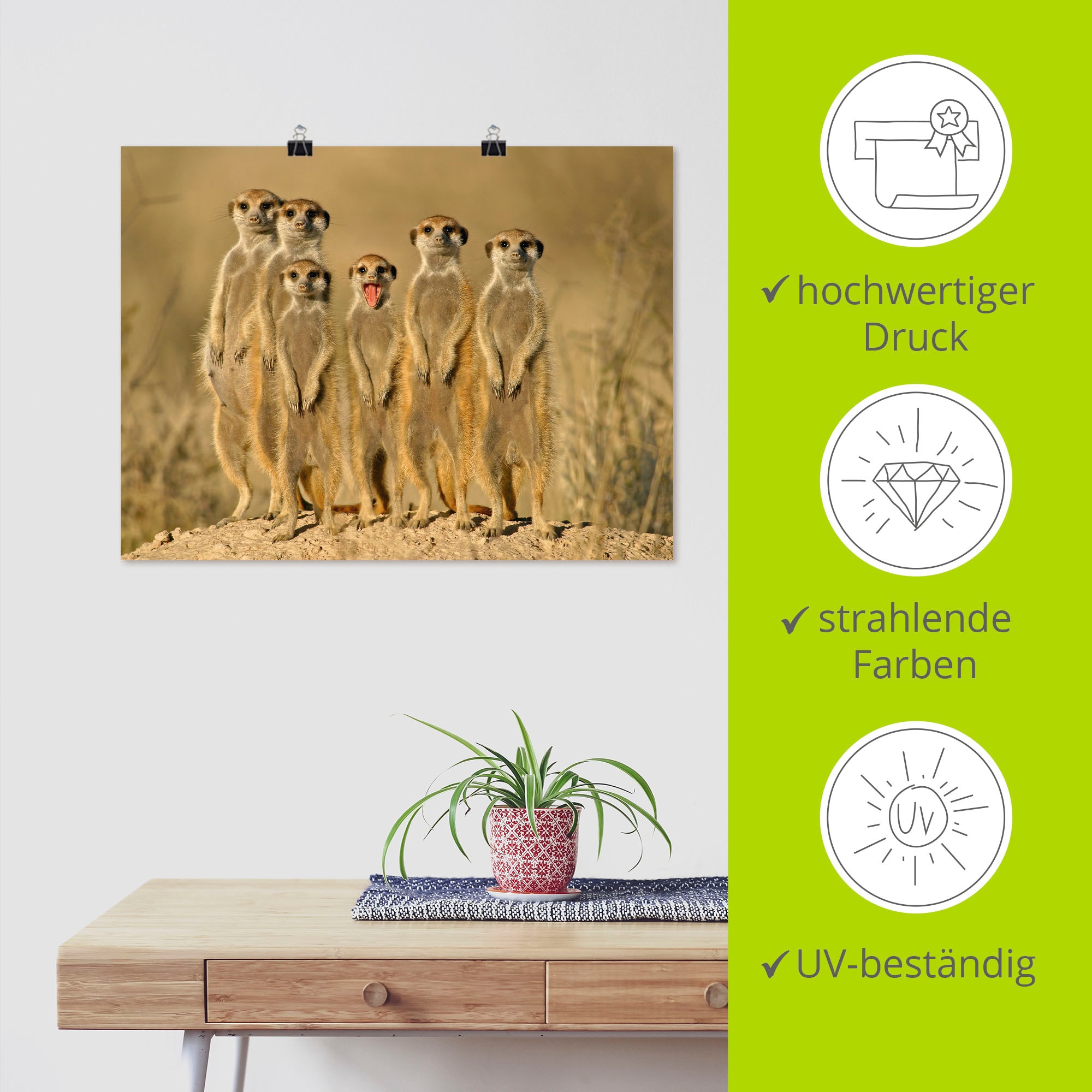Artland Wandbild »Erdmännchen Familie«, Wildtiere, (1 St.), als Alubild, Outdoorbild, Leinwandbild, Poster, Wandaufkleber