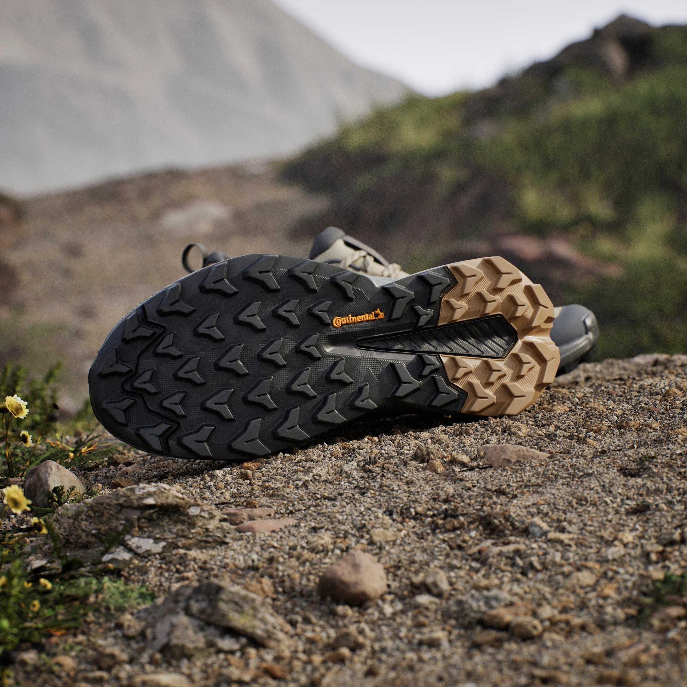 adidas TERREX Chaussure de randonnée »TRAILMAKER 2«