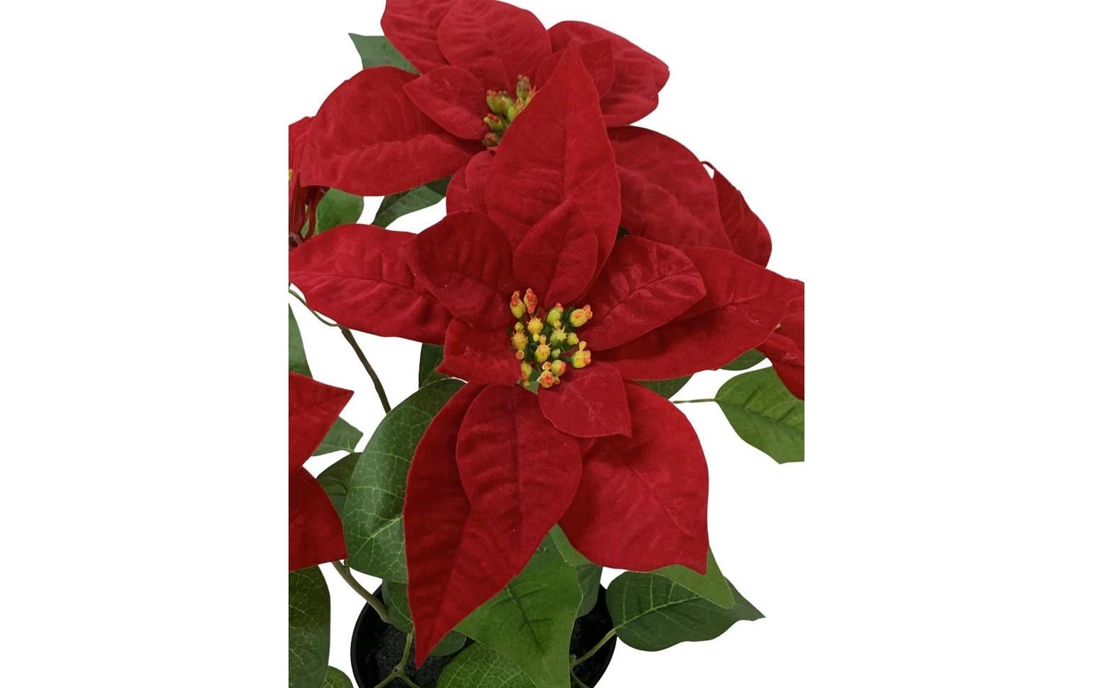 Botanic-Haus Kunstblume »im Topf, Rot«