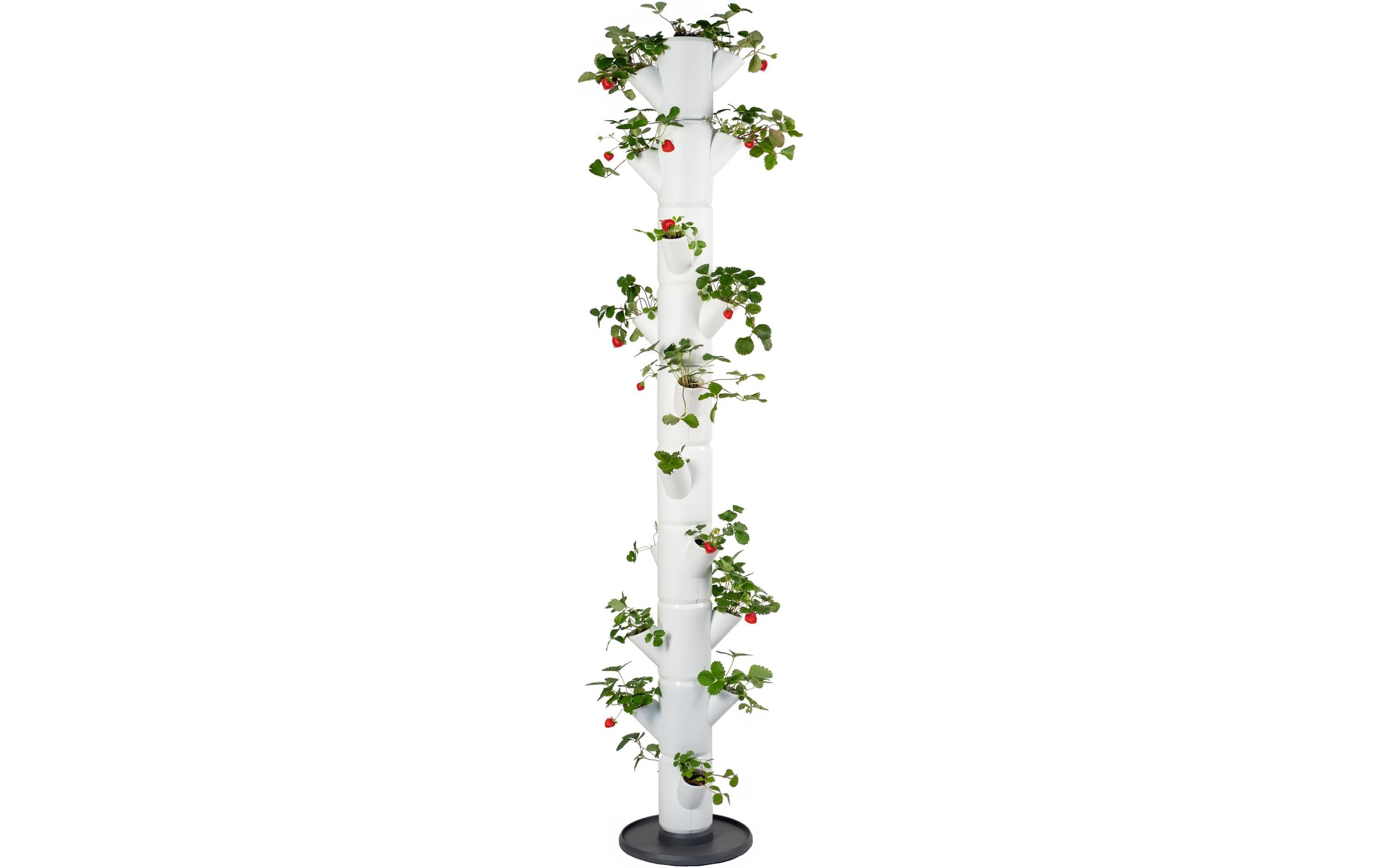 Image of Gusta Garden Anzuchttopf "infinity weiss"