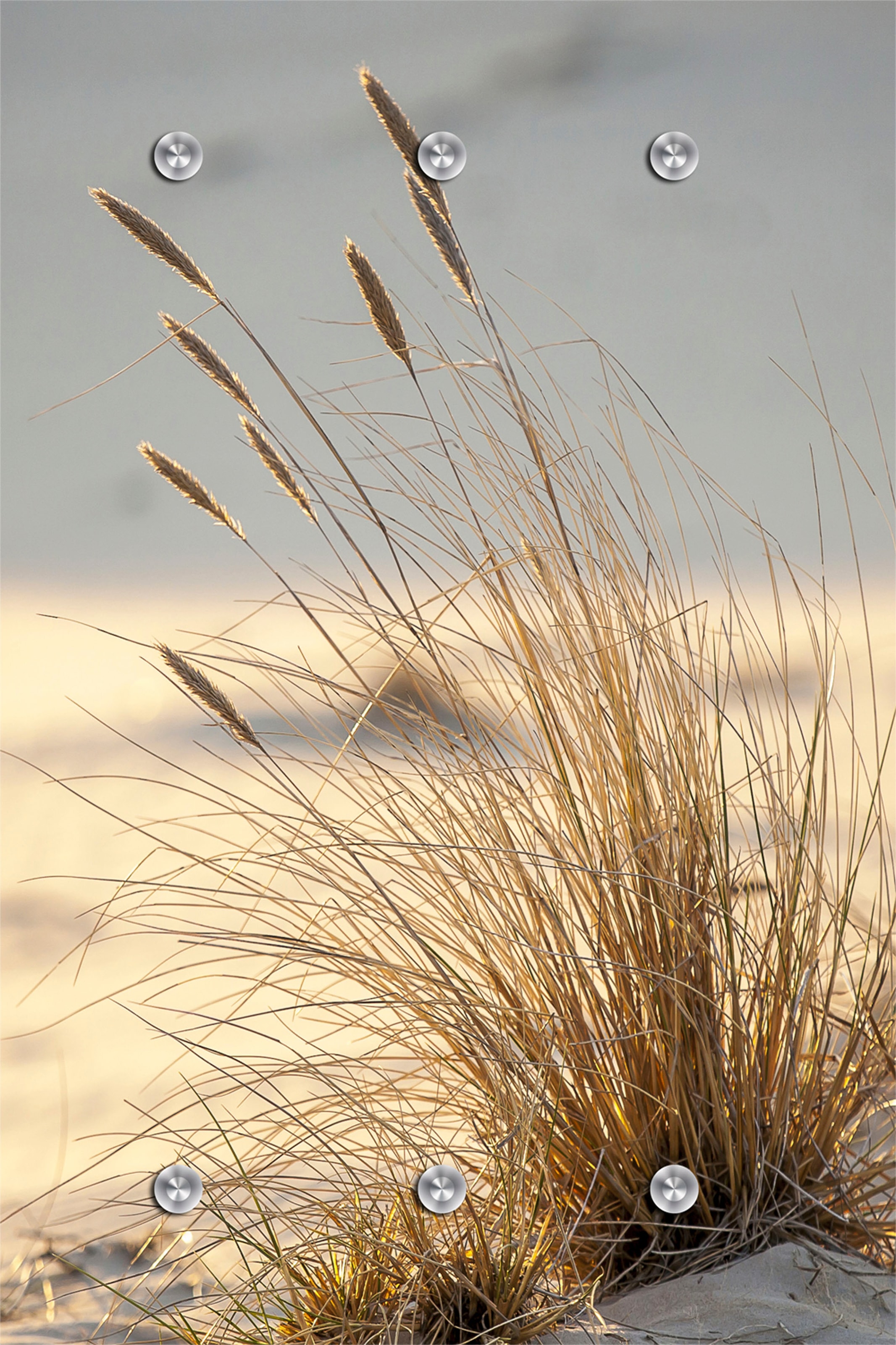 Image of queence Garderobenleiste "Strand" mit 6 Haken, 80 x 120 cm