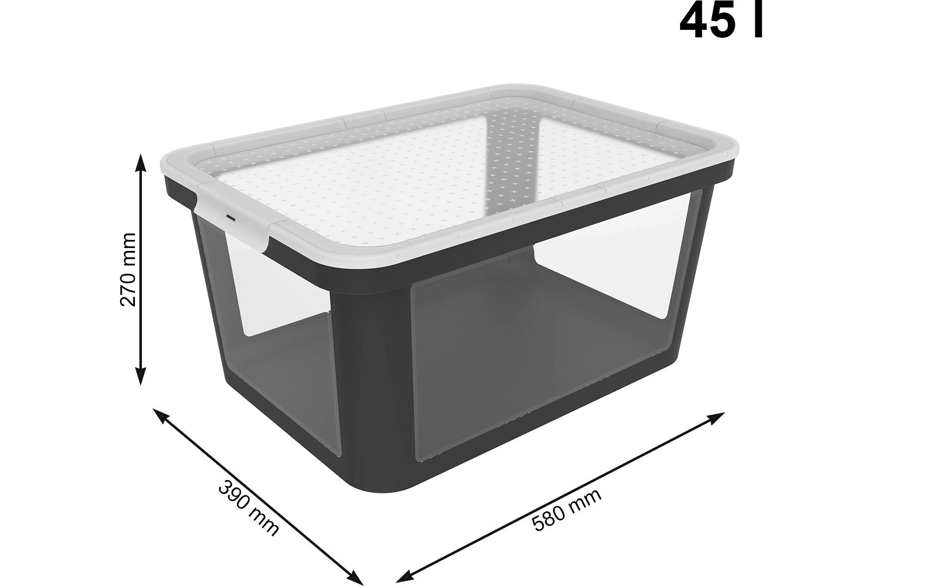 ROTHO Aufbewahrungsbox »ALBRIS 2 tlg.«, (2 St.)