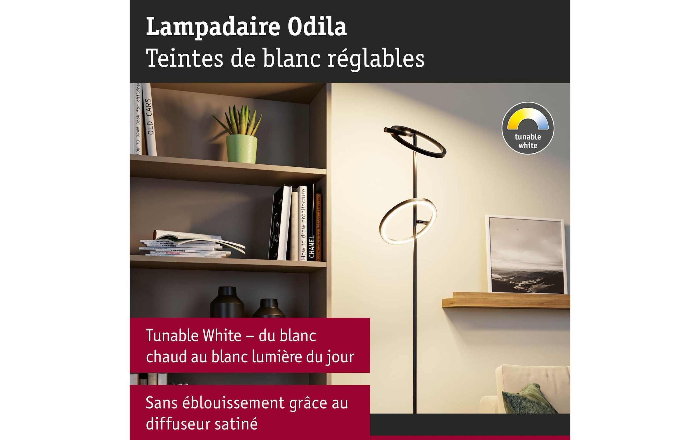 Paulmann Deckenleuchte »Stehleuchte Odila, Schwarz matt« LED-Modul warmweiss - kaltweiss
