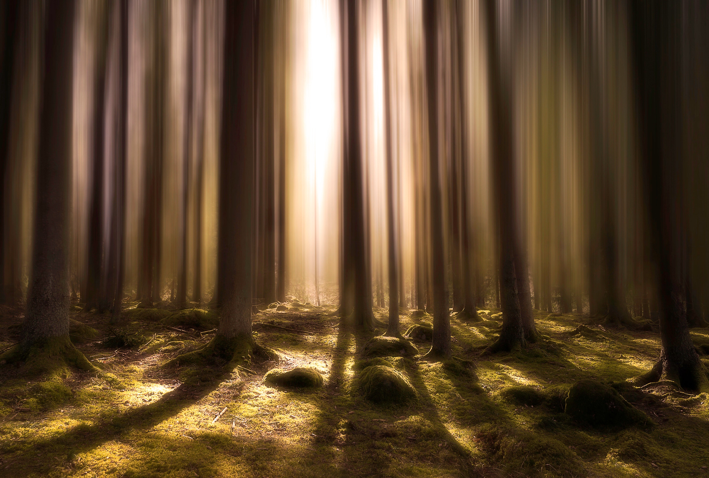 Papermoon Fototapete "Photo-Art CHRISTIAN LINDSTEN, ATEM DES LEBENS"