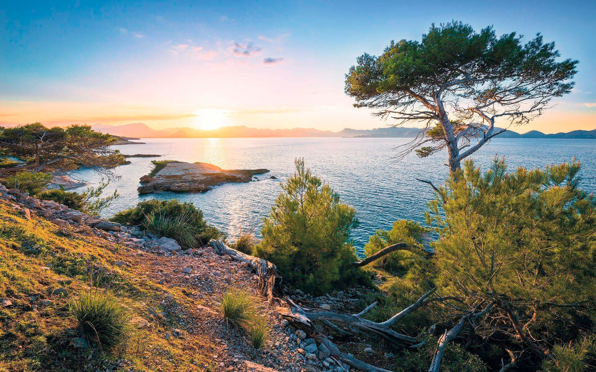 Image of Komar Vliestapete »Southern Light«, Strand bei Ackermann Versand Schweiz