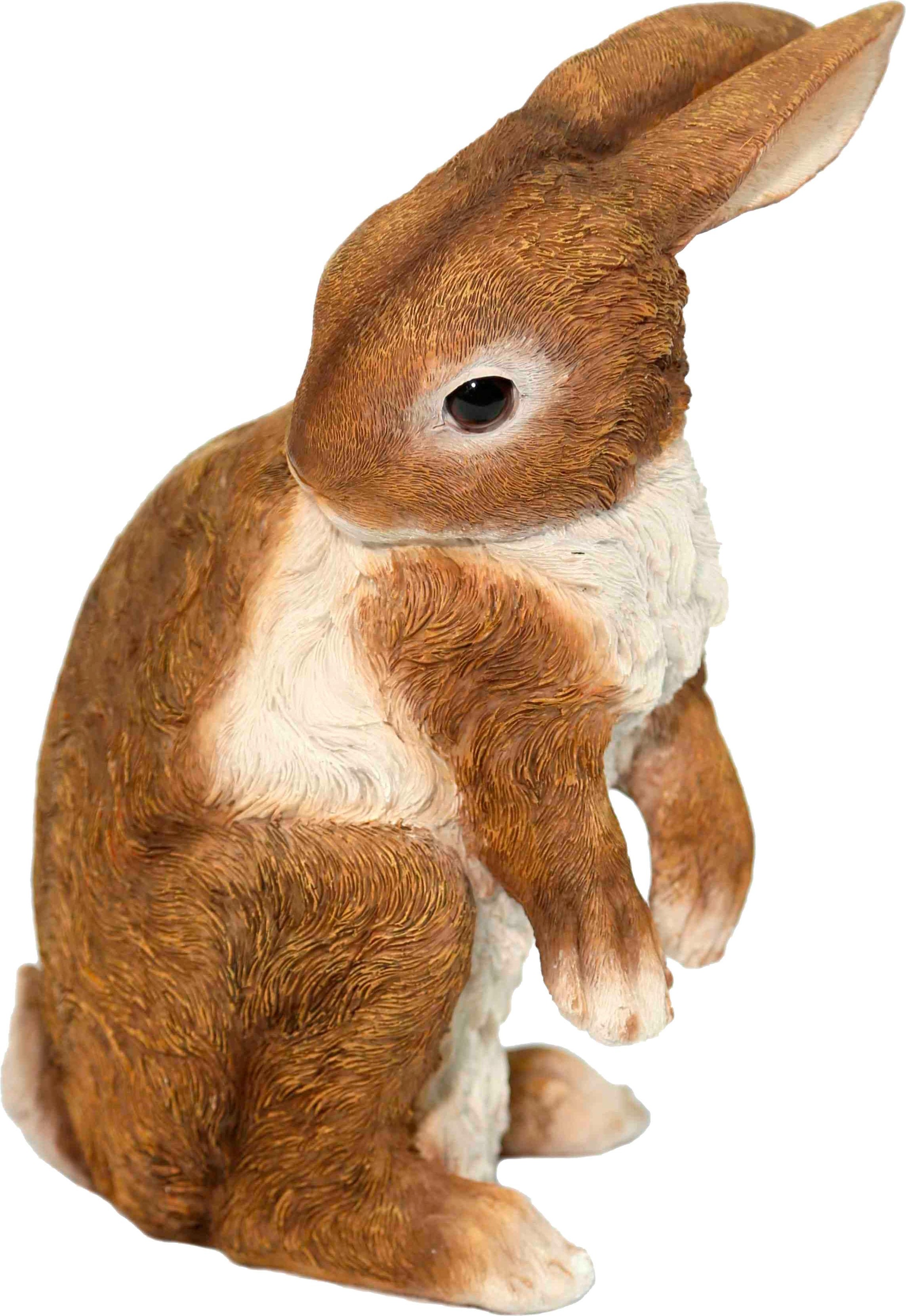 Image of Casa Collection by Jänig Tierfigur, Hase stehend, Höhe ca. 27 cm bei Ackermann Versand Schweiz