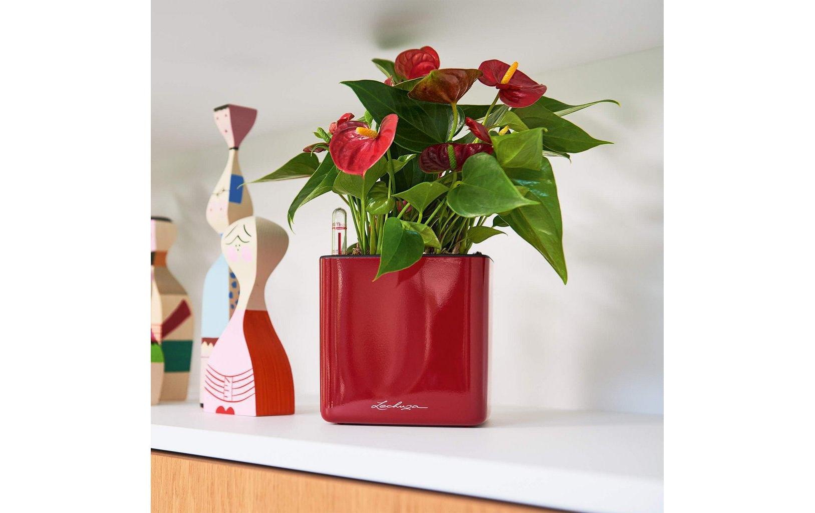   Blumentopf »Lechuza Pflanzentopf CUBE Glossy Ku« Material: Polycarbonat, Polypropylen