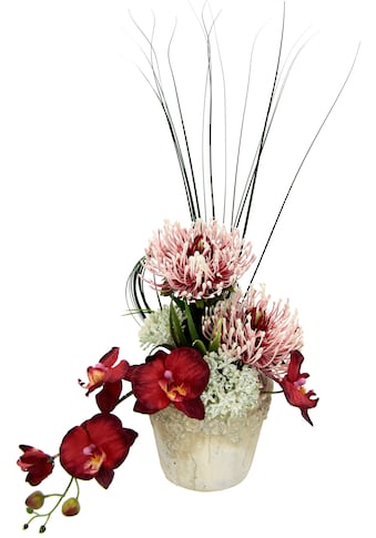 I.GE.A. Kunstpflanze »Orchidee«, (1 St.) kaufen