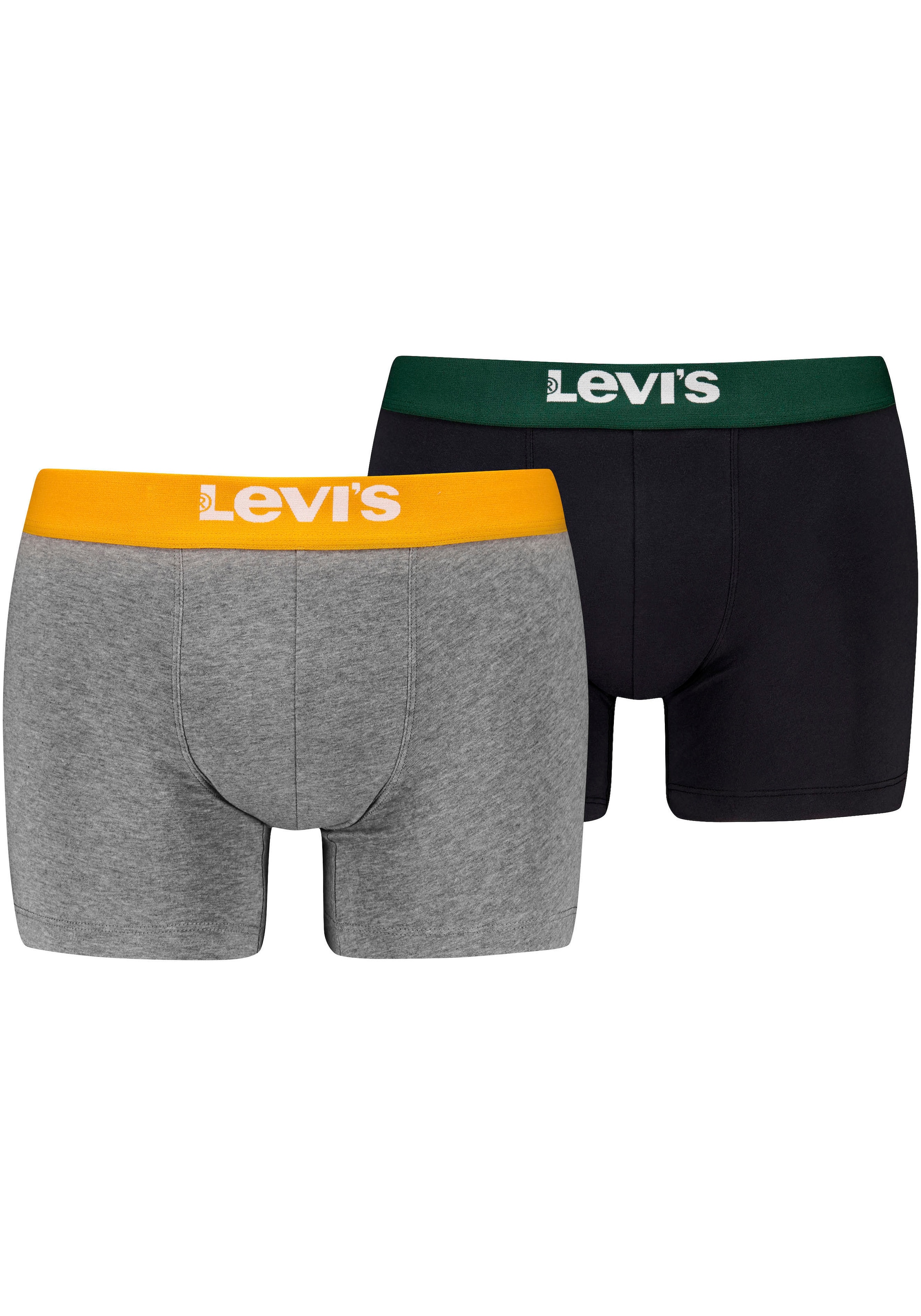 Boxershorts, mit farblich abgesetztem Logobund