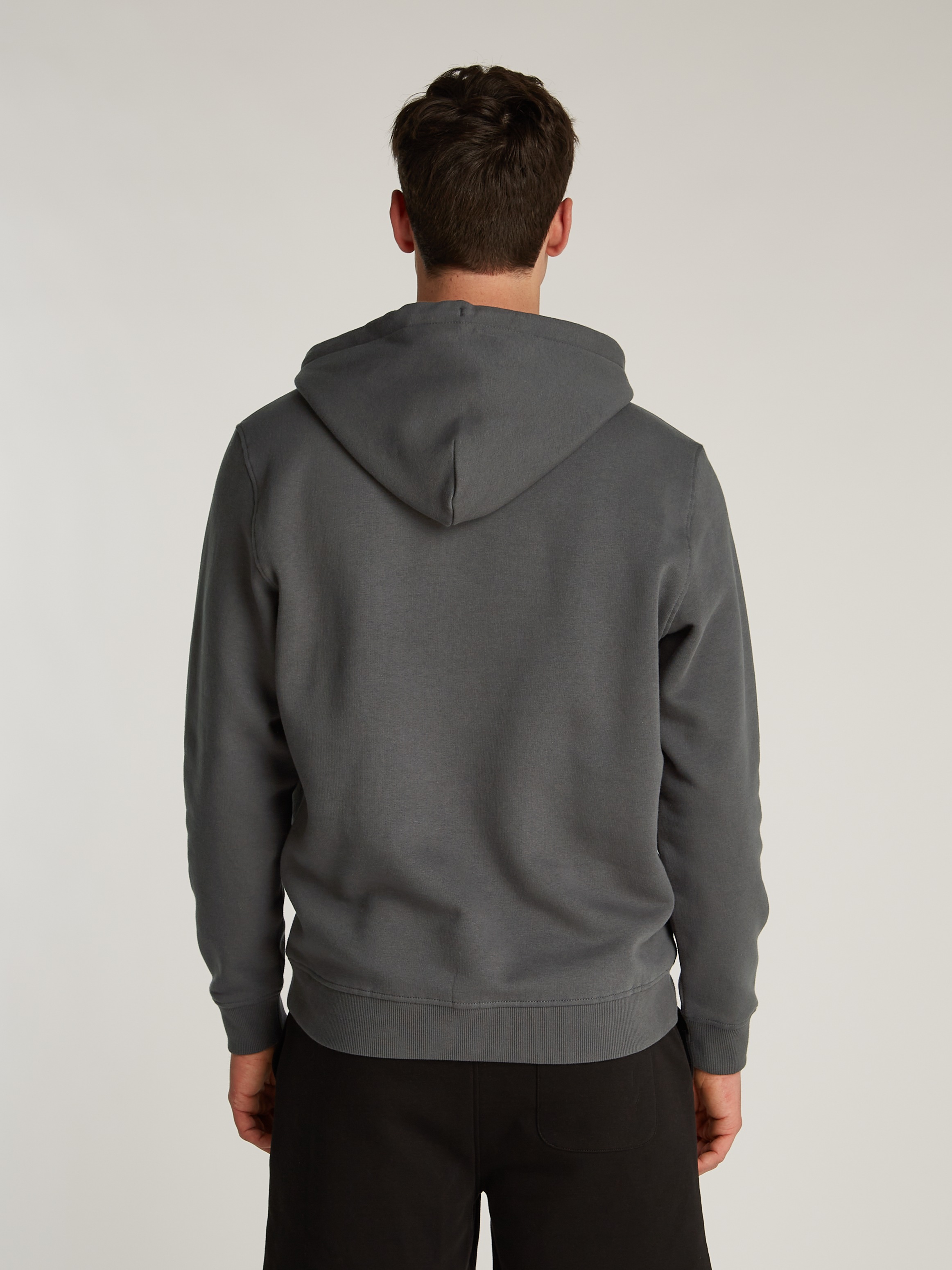 Tommy Jeans Plus Hoodie »TJM REG LINEAR LOGO HOODIE EXT«, in Grosse Grössen, Logodruck