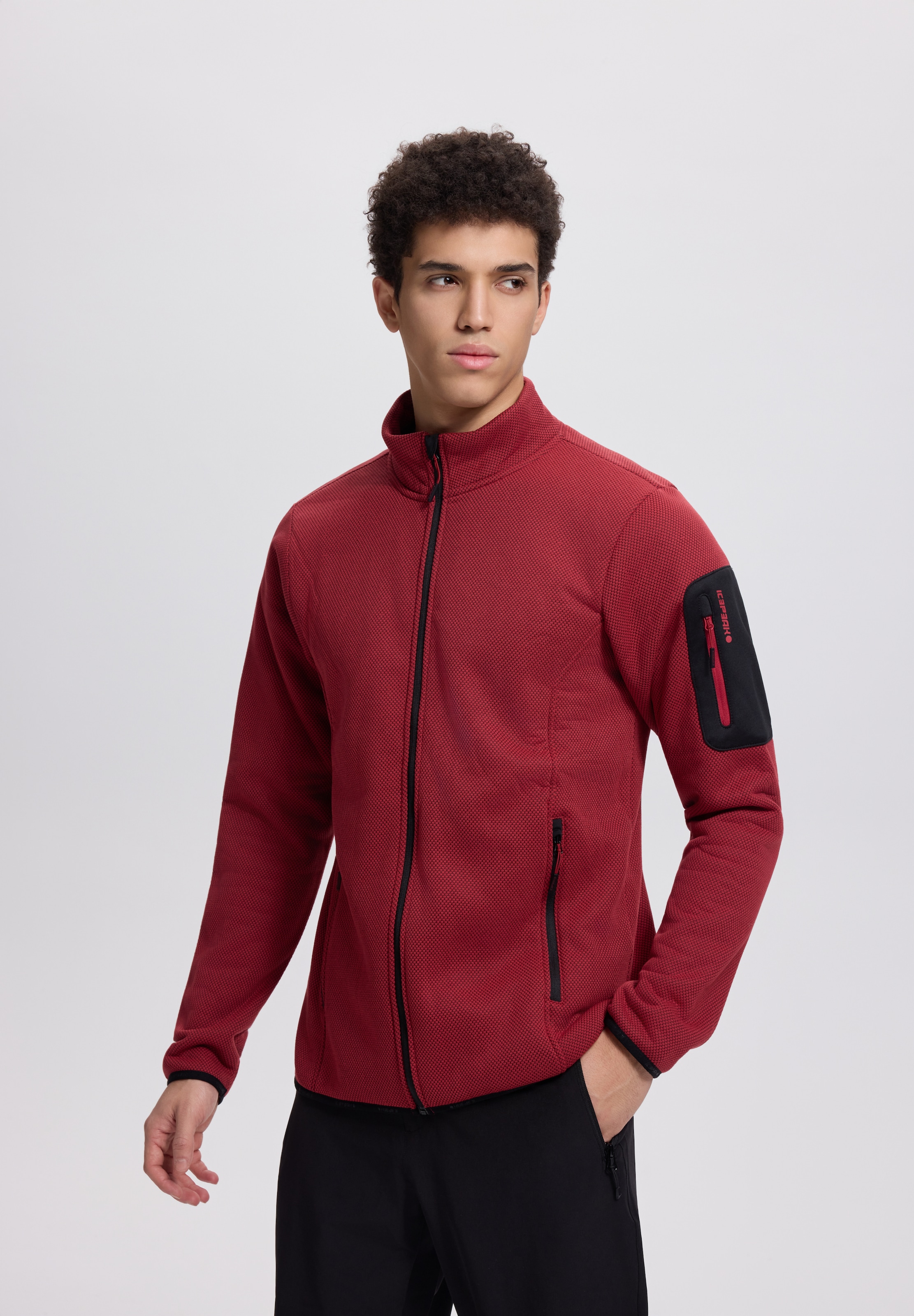 Icepeak Fleecejacke »BREDSTEDT« mit Stehkragen, sportlicher Stil