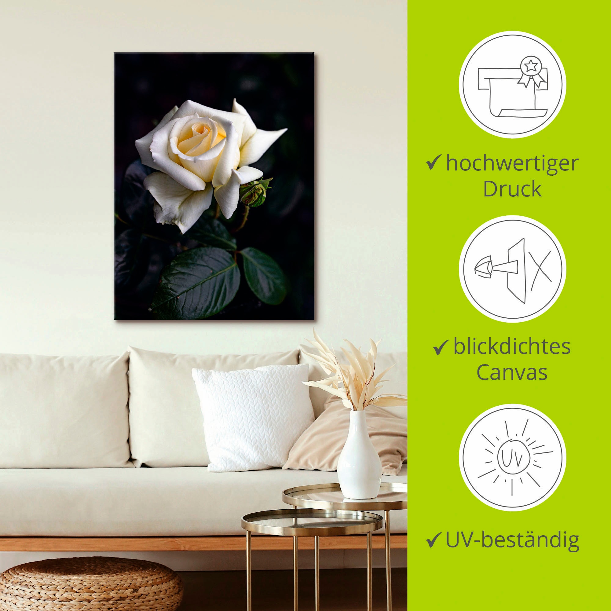 Artland Wandbild »Weiss-gelbe Rose«, Blumen, (1 St.), als Leinwandbild, Poster in verschied. Grössen