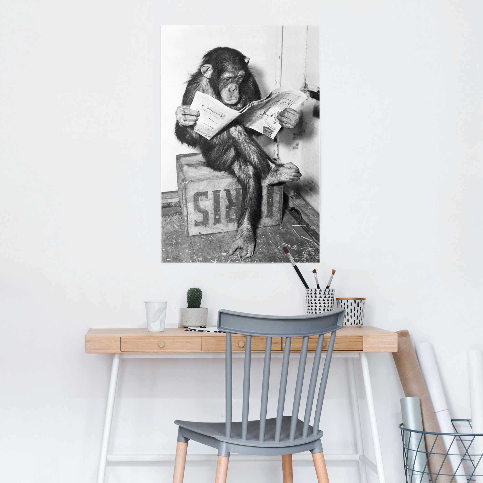 Image of Reinders Poster "Chimp Zeitung Affe Schimpanse" 1 Stk. tlg.