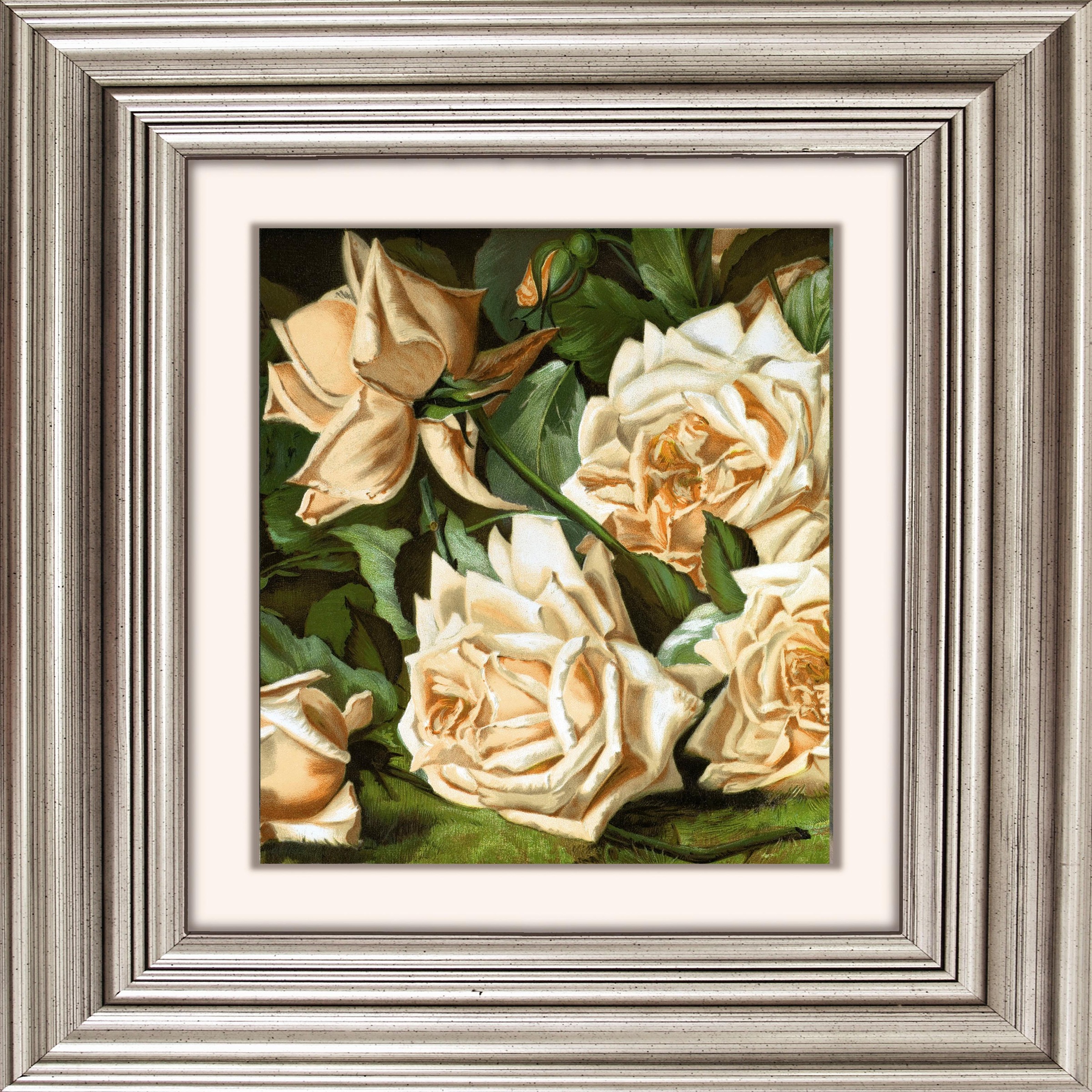 Image of queence Acrylglasbild "Rosen" Blumen Blumenbilder Gemälde Kunst Pflanzen Pflanzenbilder Fine Art-Print in Galeriequalität