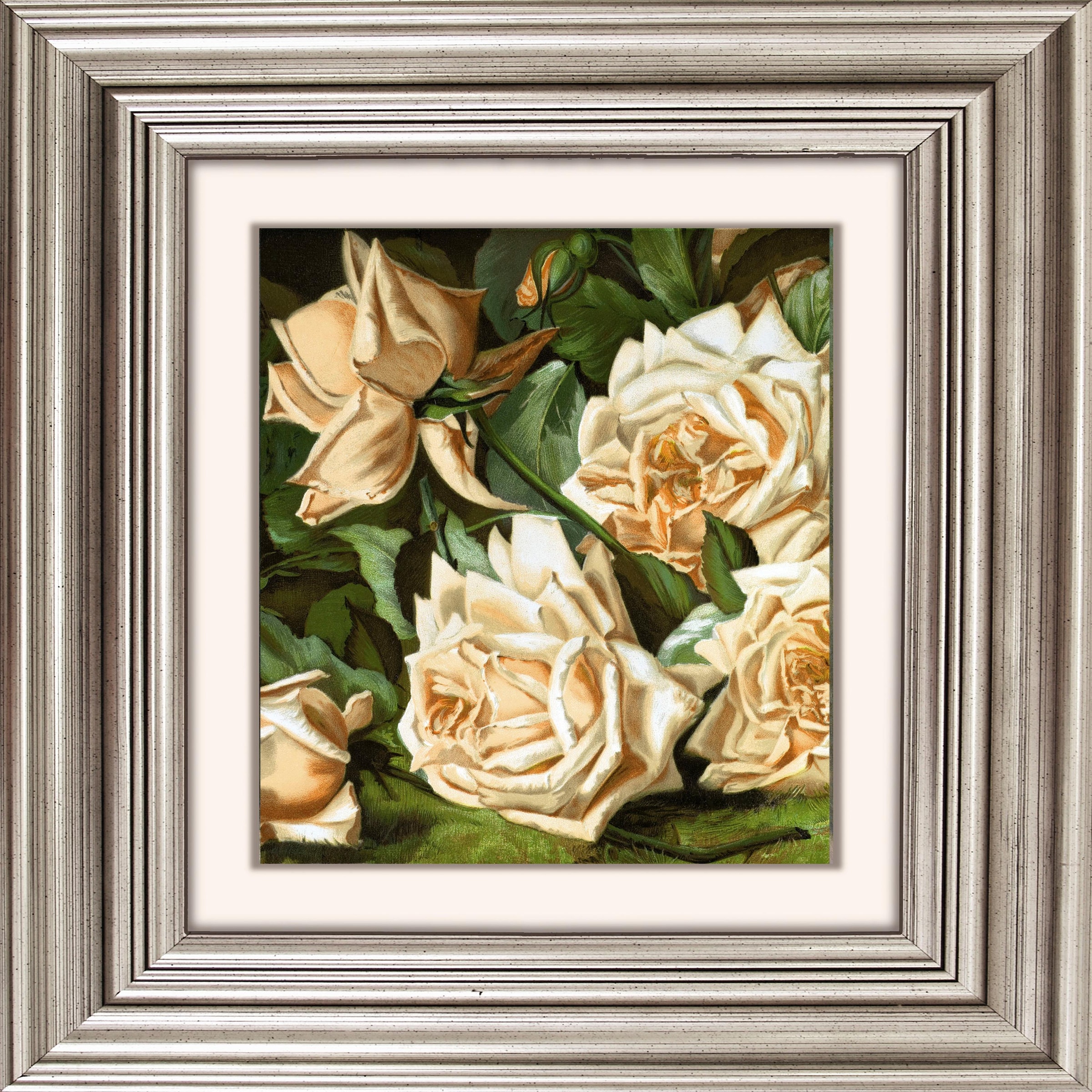 Image of queence Acrylglasbild »Rosen« bei Ackermann Versand Schweiz