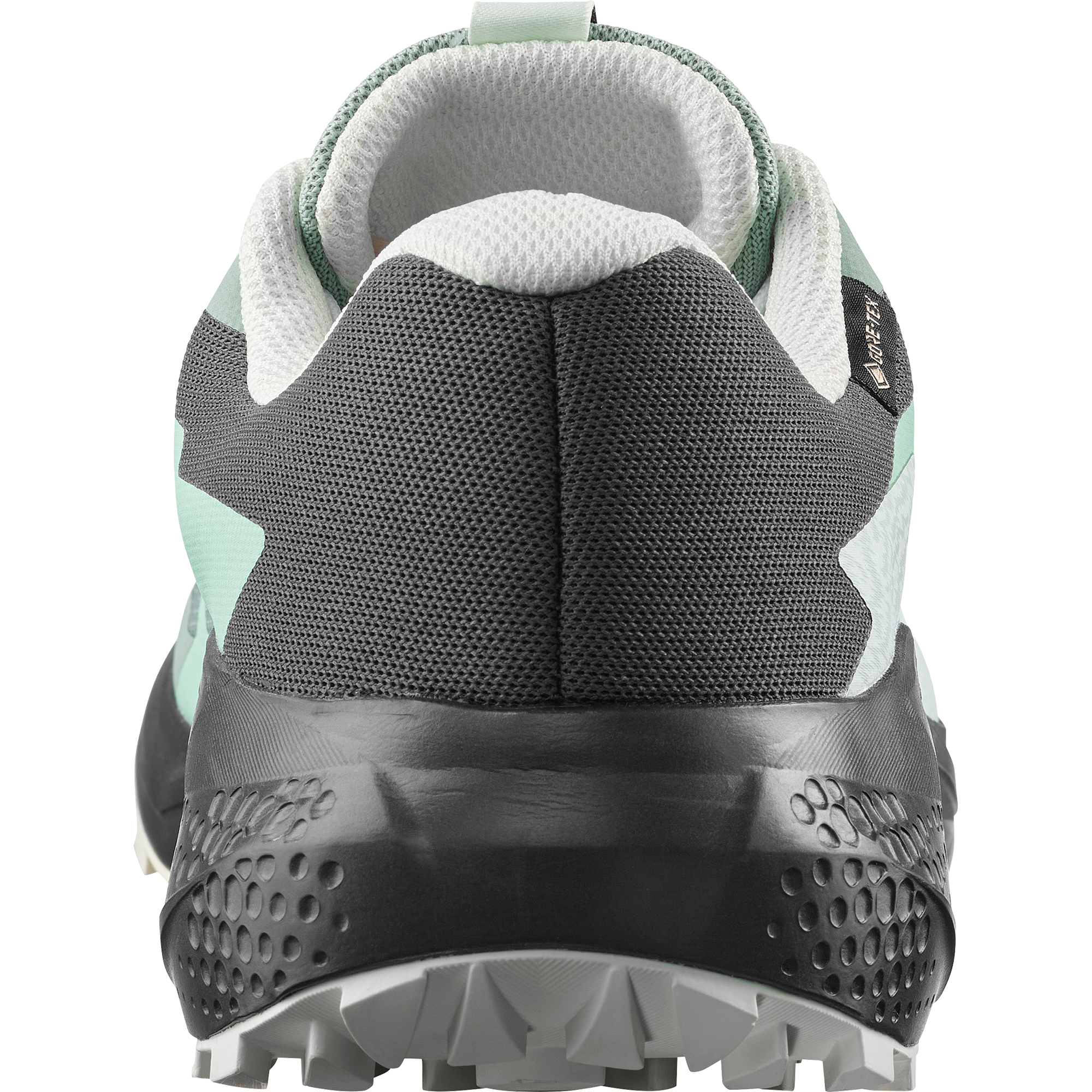 Salomon Trailrunningschuh »ALPHAGLIDE GORE-TEX® W«  wasserdicht
