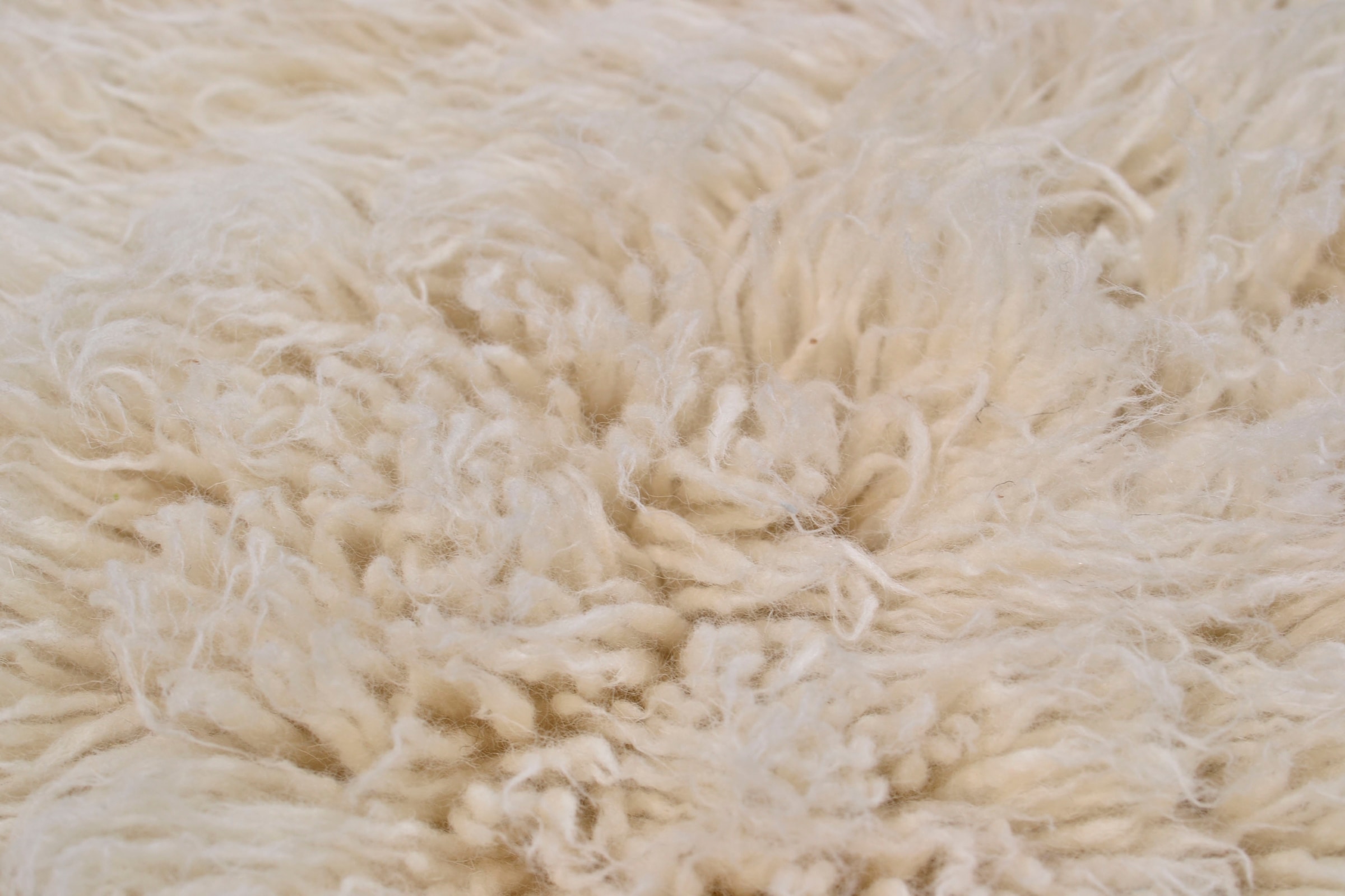 2«, bequem griechischer »Flokos Wolle original kaufen Wollteppich Uni-Farben, reine THEKO rechteckig, Hochflor, Flokati,