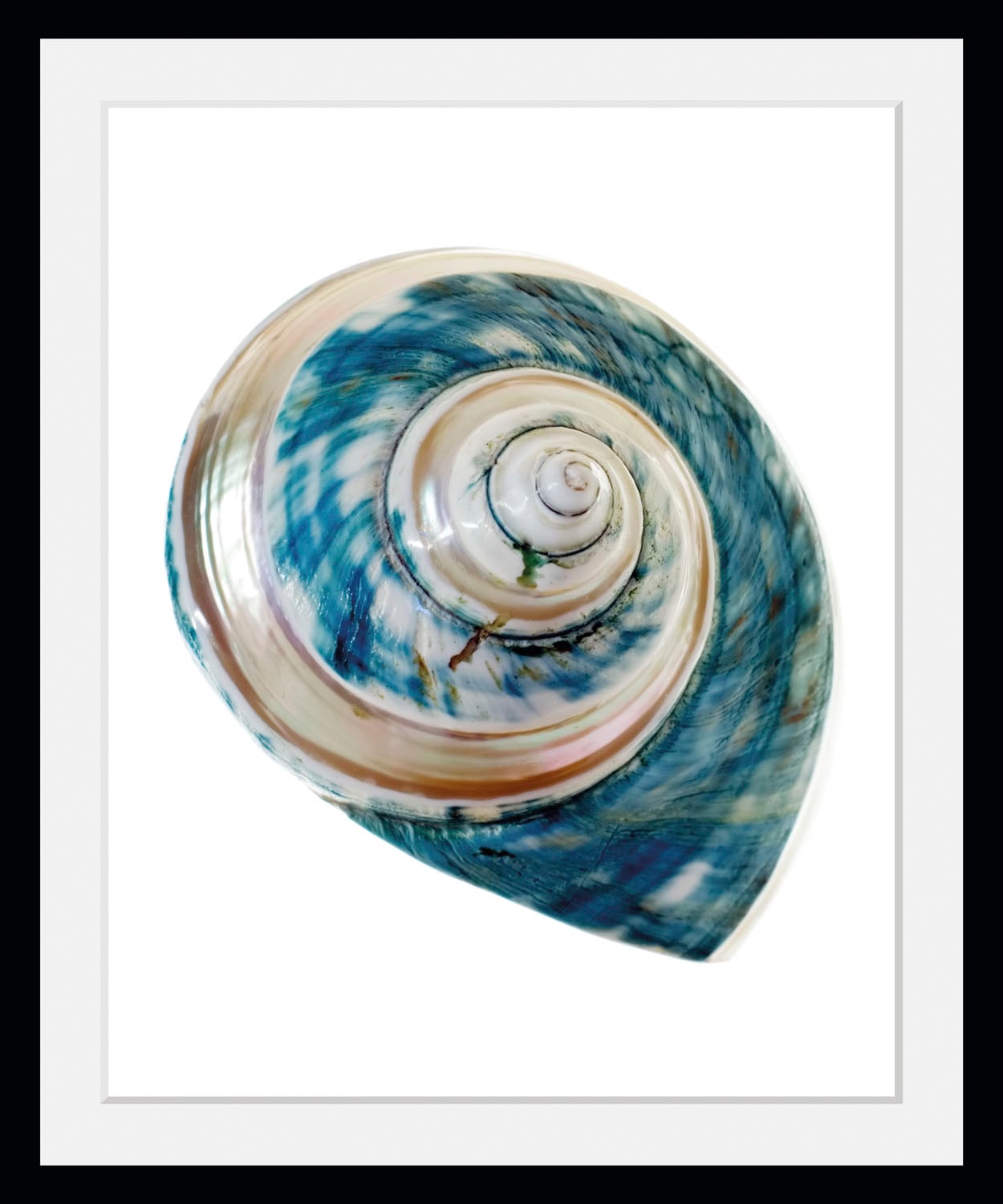 queence Bild »Lukas« Kunst | Meer | Wassertiere 1 Stk. tlg. HD Premium Poster-Druck inkl. Holzrahmen