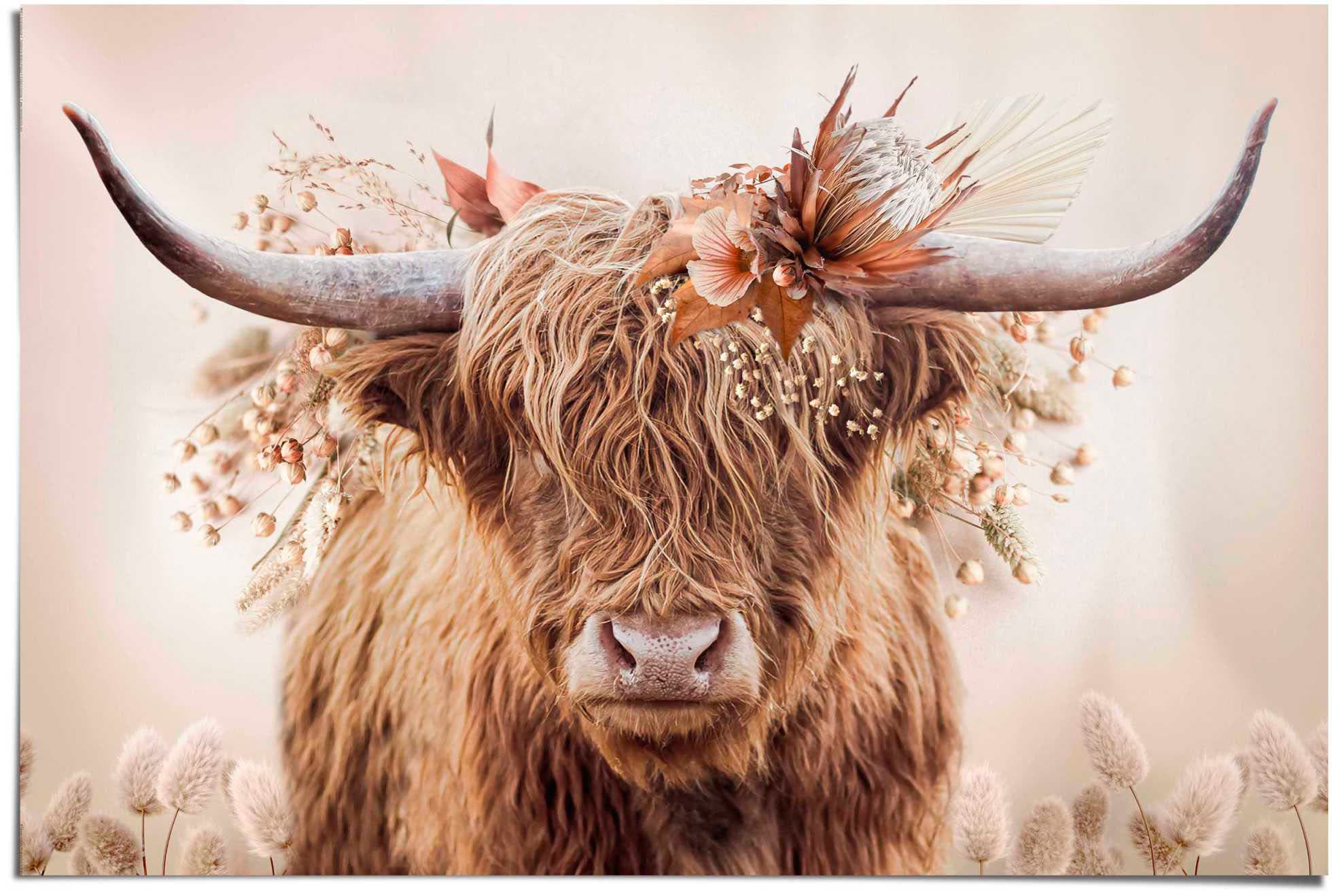 ♕ Reinders! Poster »Highlander in versandkostenfrei Blumen« auf