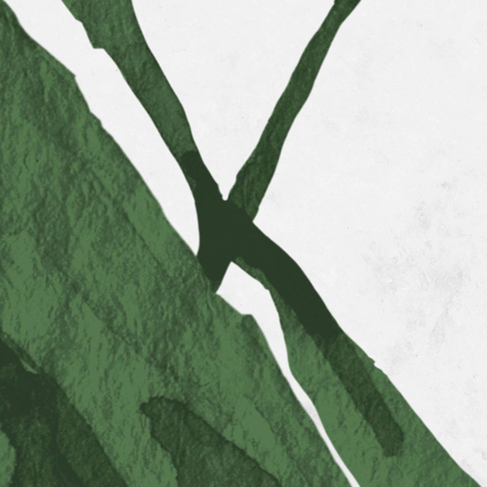 Komar Fototapete »Digitaldruck Vlies - Botanic Harmony - Grösse 500 x 250 cm«, bedruckt, Wohnzimmer, Schlafzimmer