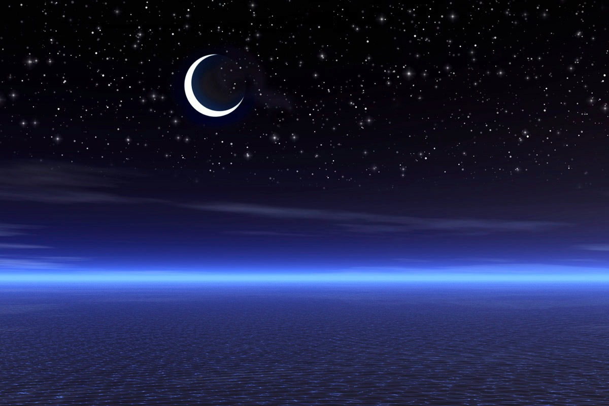 Image of Papermoon Fototapete "Nachtlandschaft"