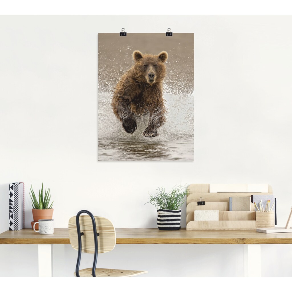 Artland Poster »Bären beim Spielen II«, Wildtiere, (1 St.)