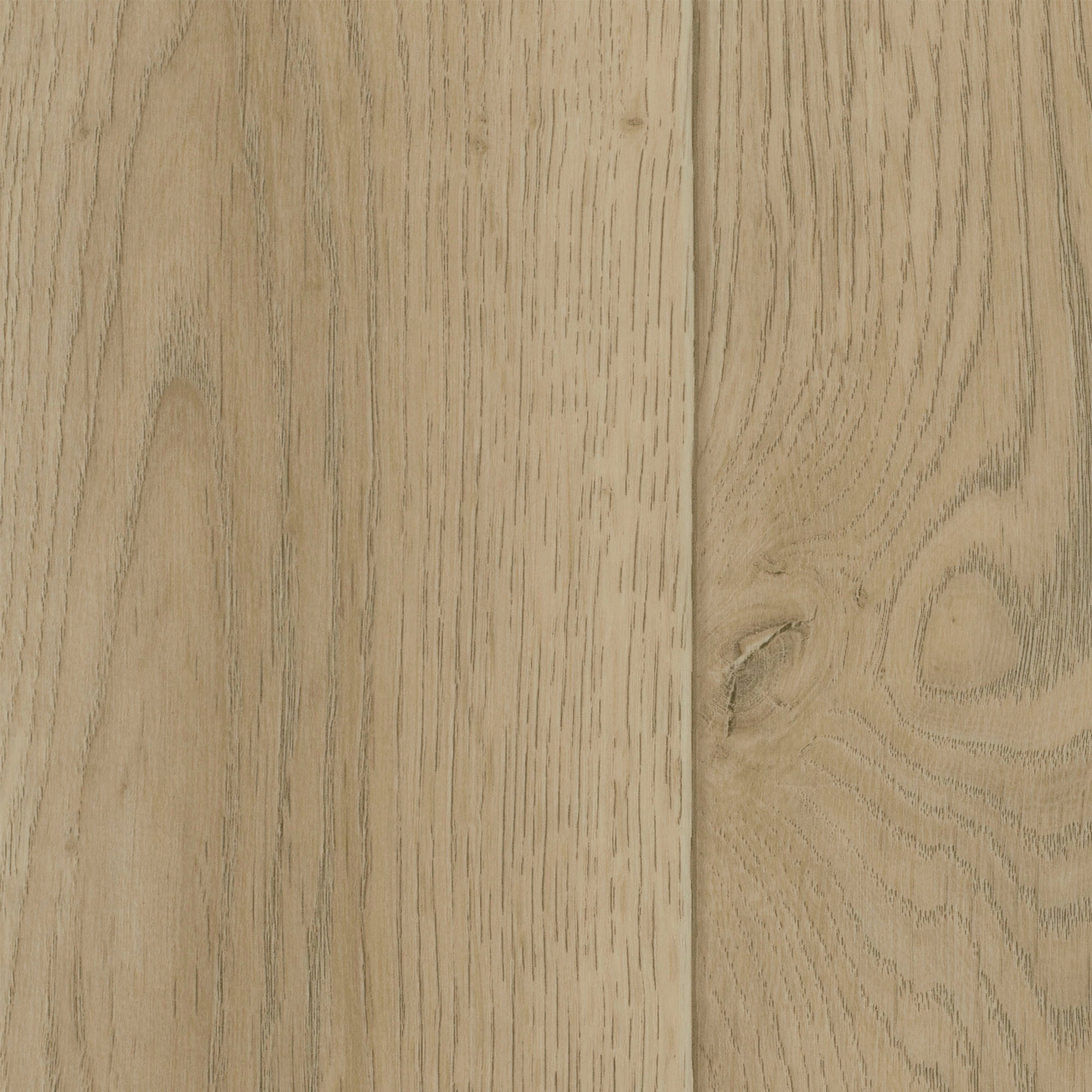 Image of Bodenmeister Vinylboden »PVC Bodenbelag Holzoptik Diele Eiche hell creme«, Meterware, Breite 200/300/400 cm bei Ackermann Versand Schweiz