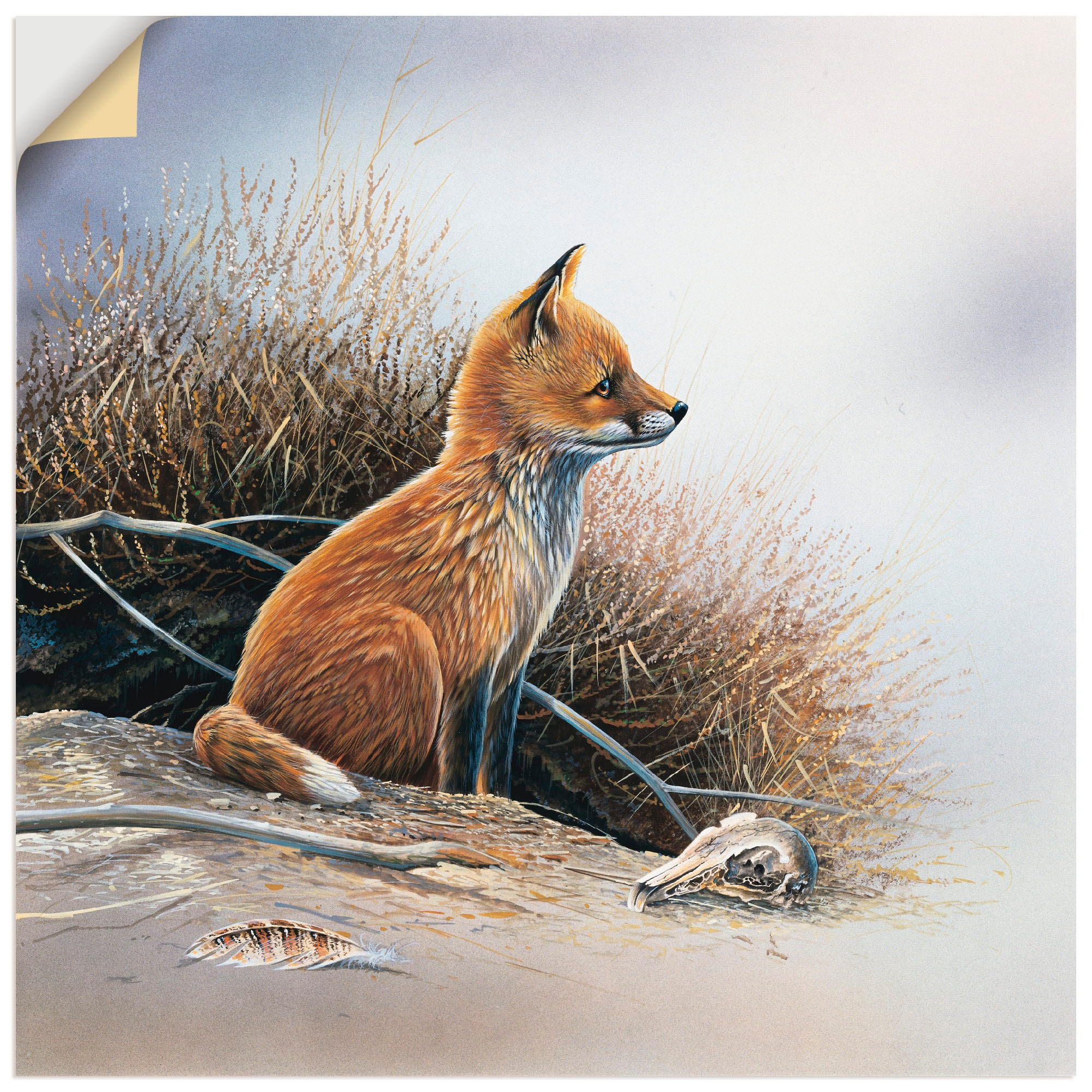 Image of Artland Wandbild »Kleiner Fuchs«, Wildtiere, (1 St.), in vielen Grössen & Produktarten -Leinwandbild, Poster, Wandaufkleber / Wandtattoo auch für Badezimmer geeignet bei Ackermann Versand Schweiz