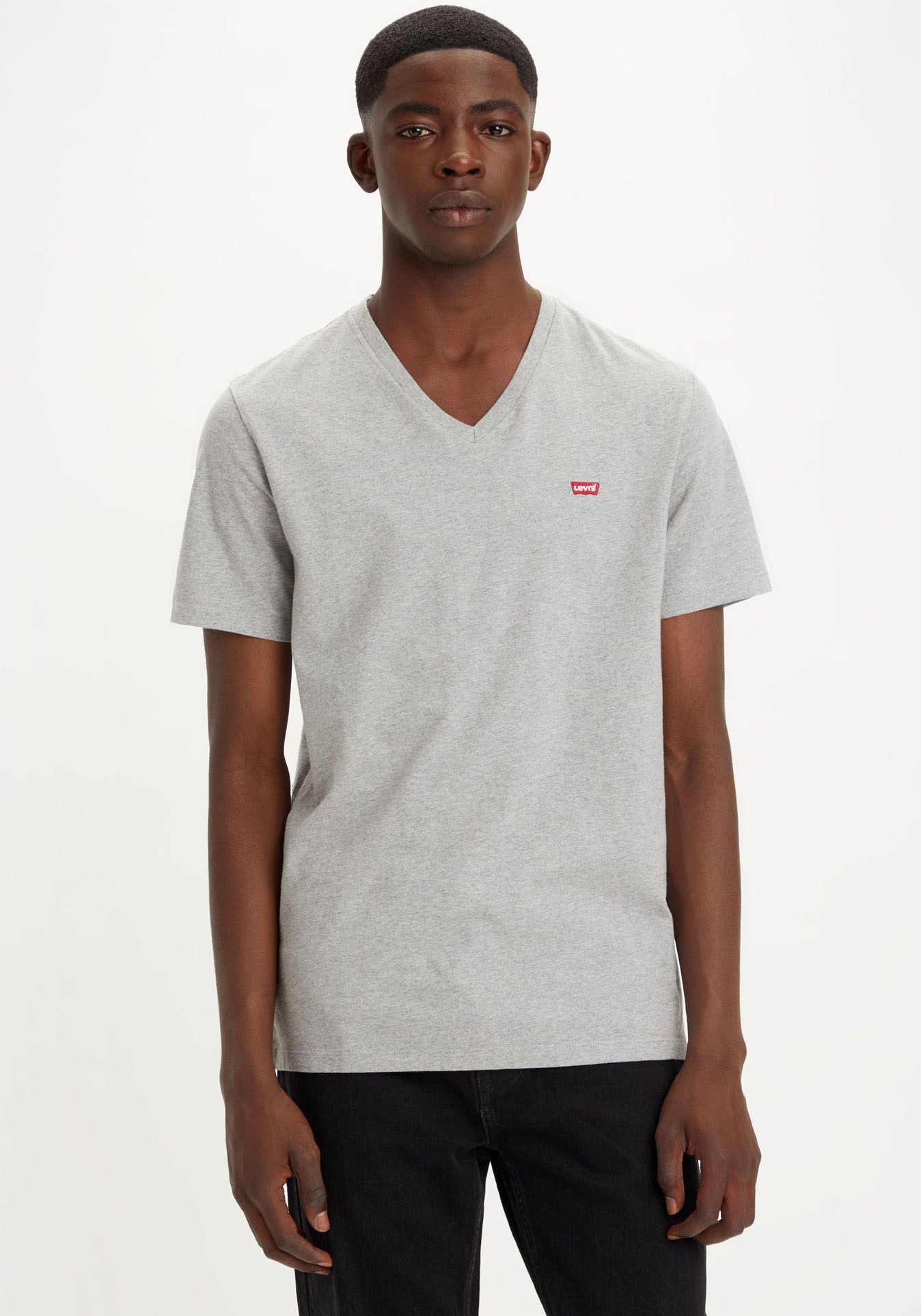 Levi's® V-Shirt »LE ORIGINAL HM VNECK«, mit Logostickerei