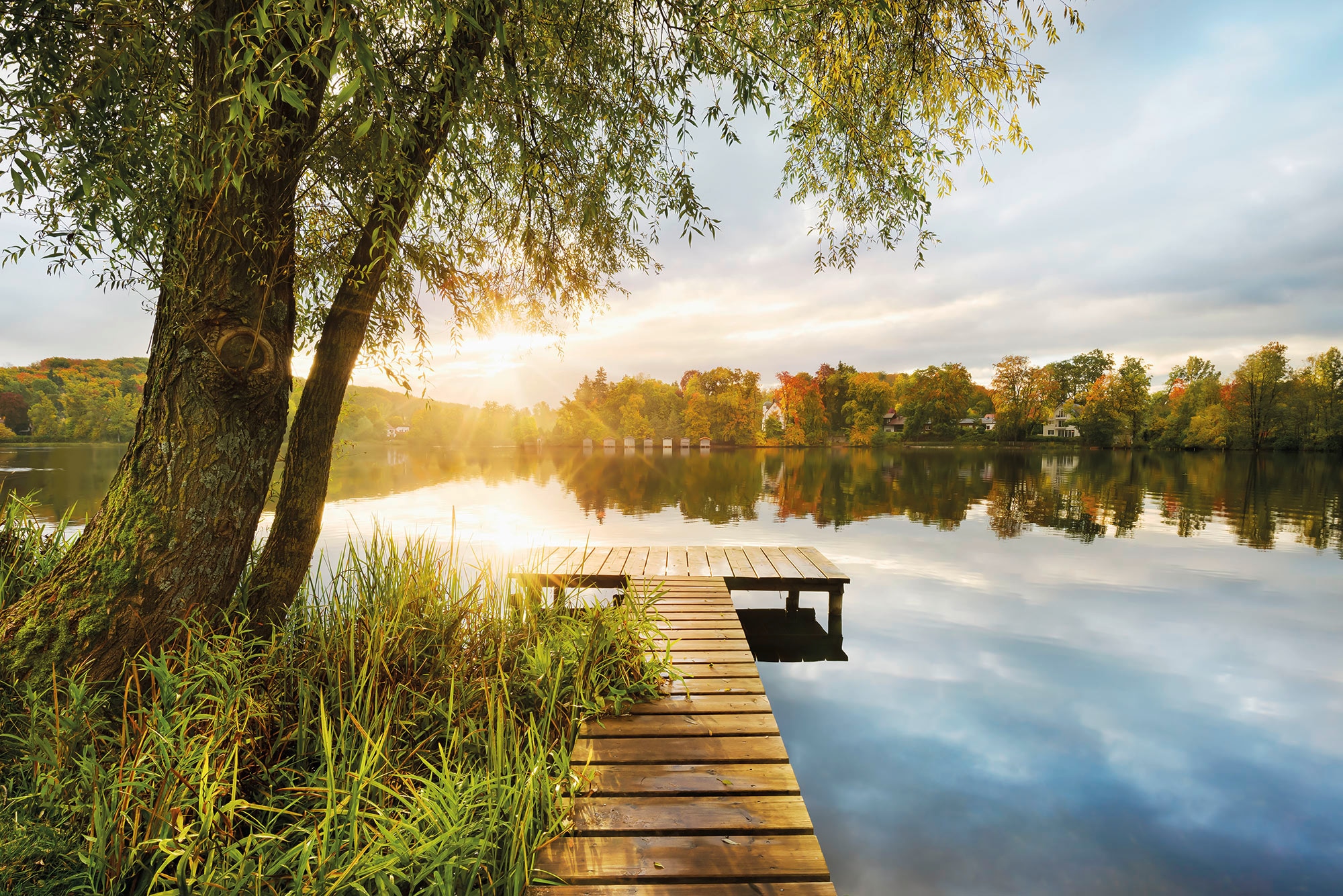 Image of Komar Fototapete "Vlies - Picnic - Grösse 368 x 248 cm" bedruckt glatt Wohnzimmer, Schlafzimmer