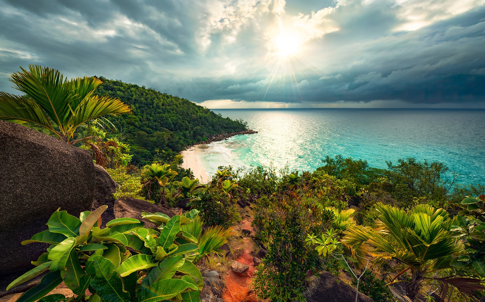 Image of Komar Fototapete »Garten der Versuchung«, mehrfarbig-natürlich-bedruckt bei Ackermann Versand Schweiz