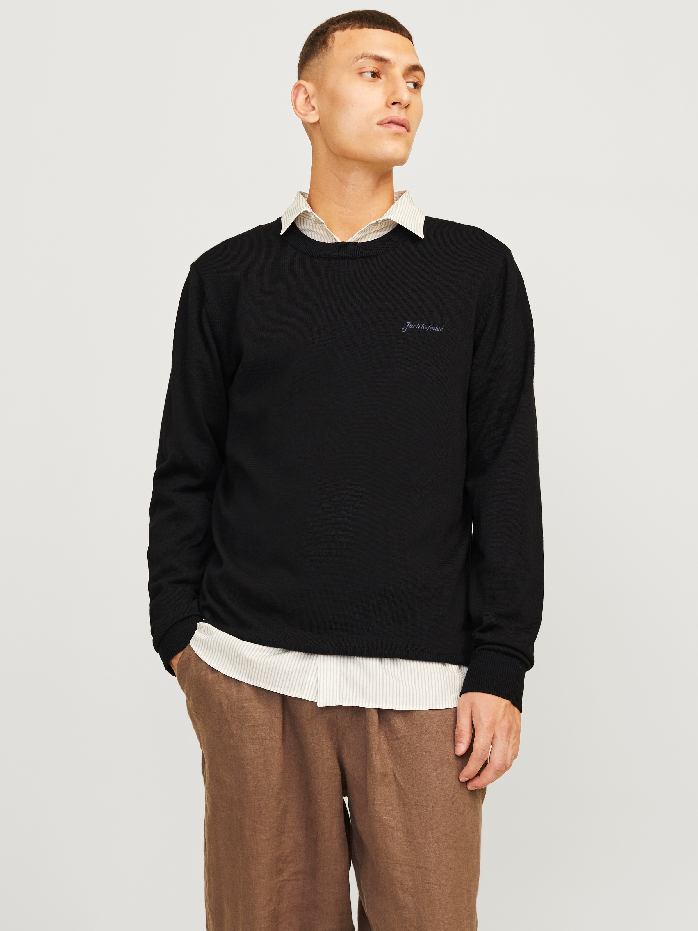 Image of Jack & Jones Rundhalspullover "JJBRAD KNIT CREW NECK AW24"