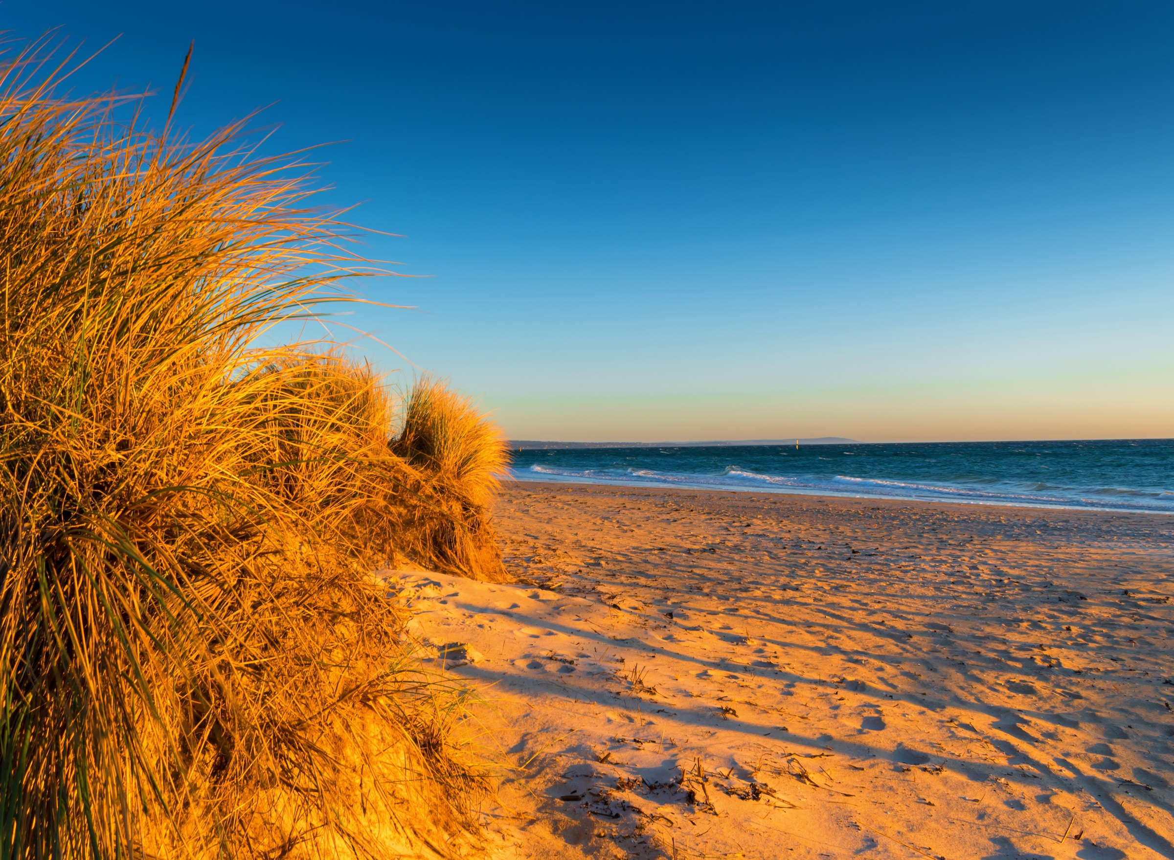 Image of Papermoon Fototapete "Dunes Chelsea Beach Australia" glatt