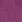 fuchsia fuchsia