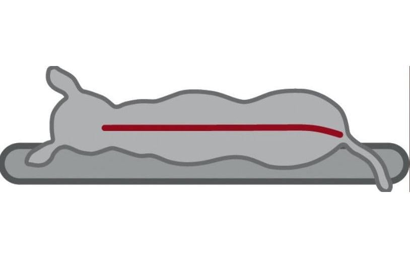 TRIXIE Tierkissen »Trixie Hunde-Kissen Vital«