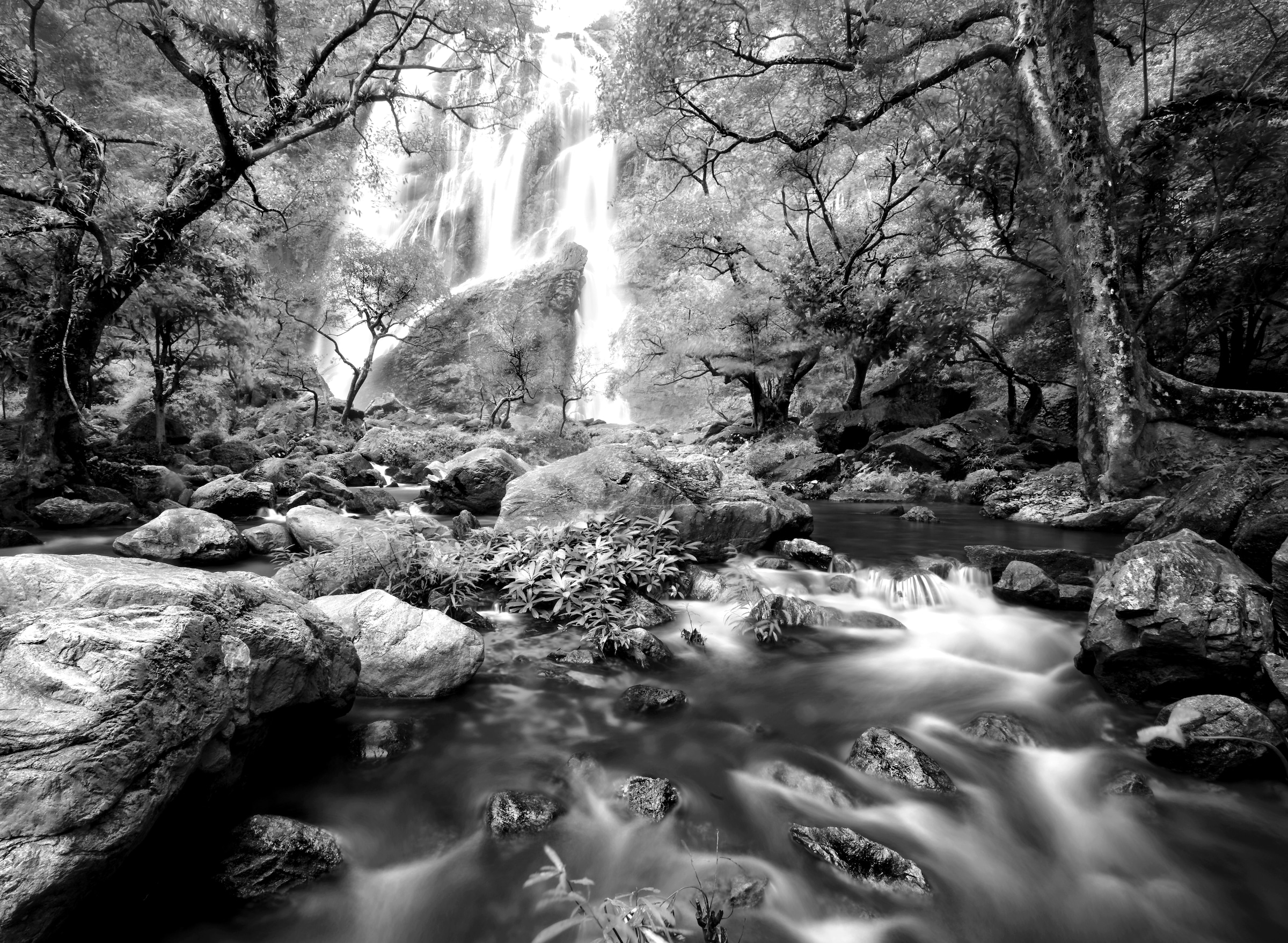 Image of Papermoon Fototapete "Wasserfall im Wald Schwarz & Weiss"