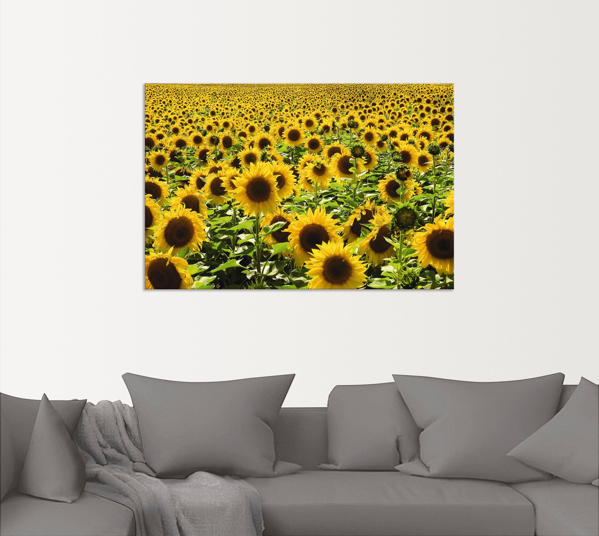 Artland Wandbild »Sonnenblumenfeld« Blumen 1 Stk. tlg. als Alubild, Leinwandbild in verschied. Grössen
