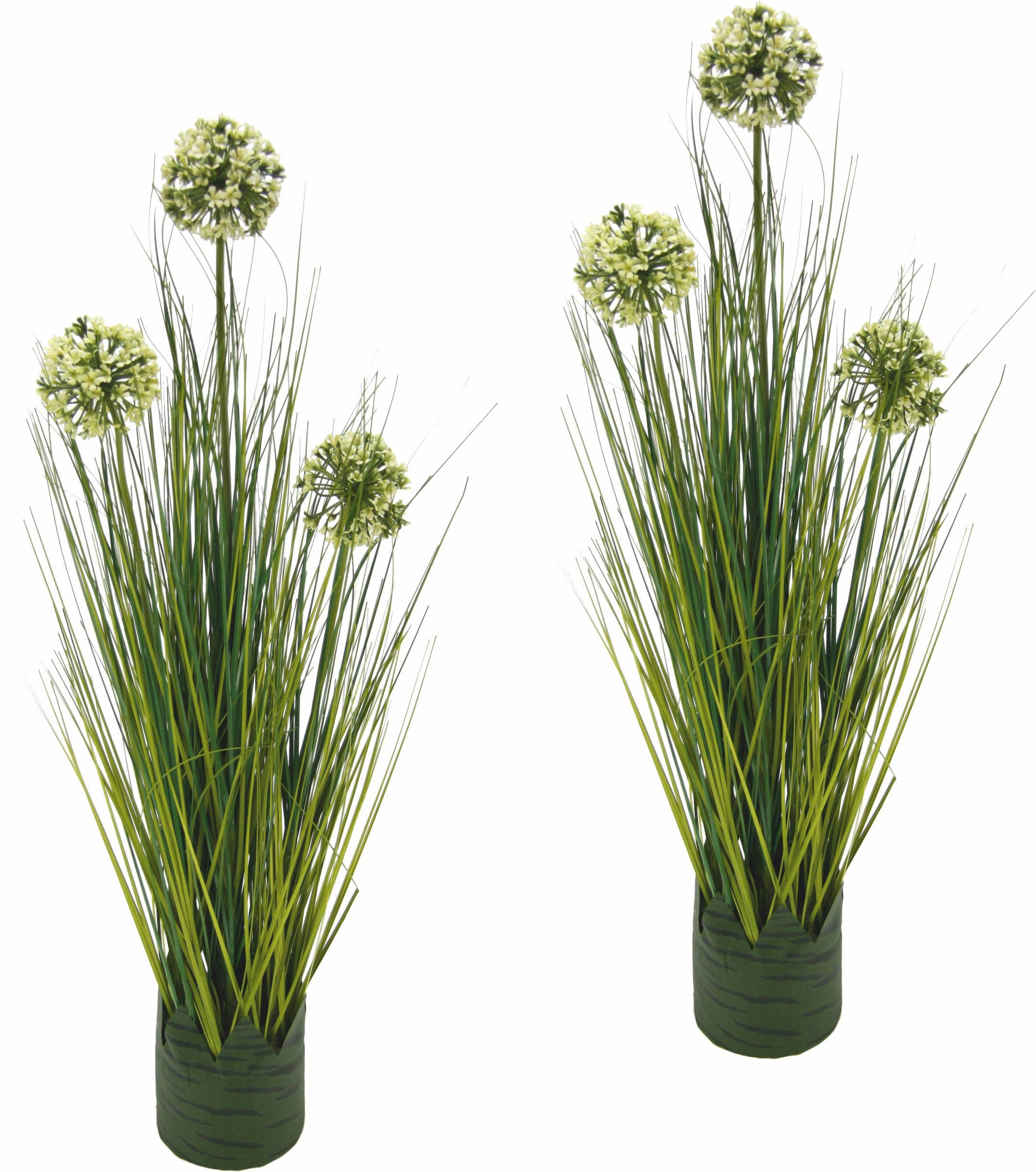 Image of I.GE.A. Kunstpflanze »Grasbusch Allium 62 cm««, (Set, 2 St.) bei Ackermann Versand Schweiz