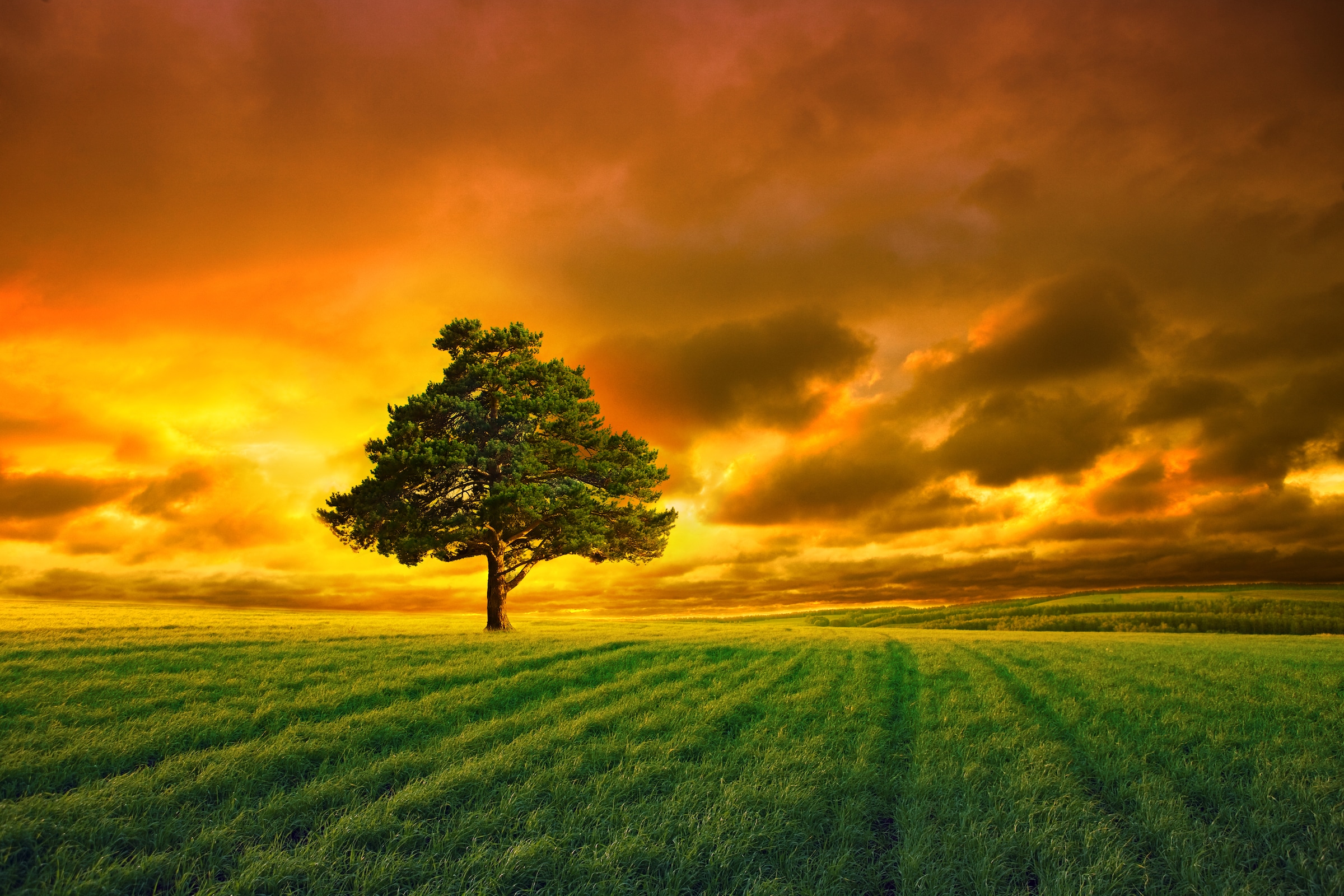 Image of Papermoon Fototapete "Horizon Sunset" glatt