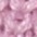 flieder