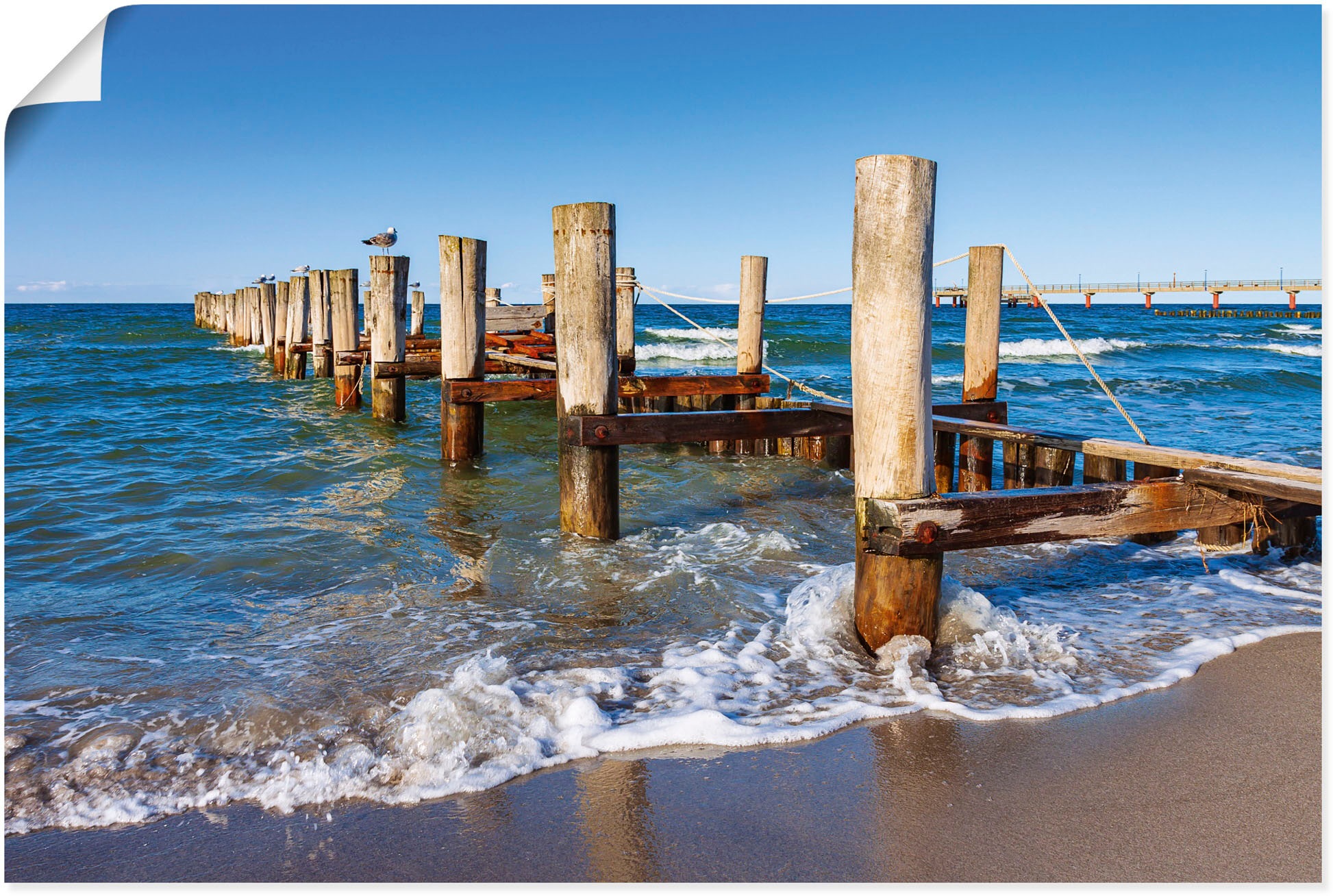 Image of Artland Wandbild »Buhne an der Ostseeküste bei Zingst II«, Küstenbilder, (1 St.), in vielen Grössen & Produktarten - Alubild / Outdoorbild für den Aussenbereich, Leinwandbild, Poster, Wandaufkleber / Wandtattoo auch für Badezimmer geeignet bei Ackermann V