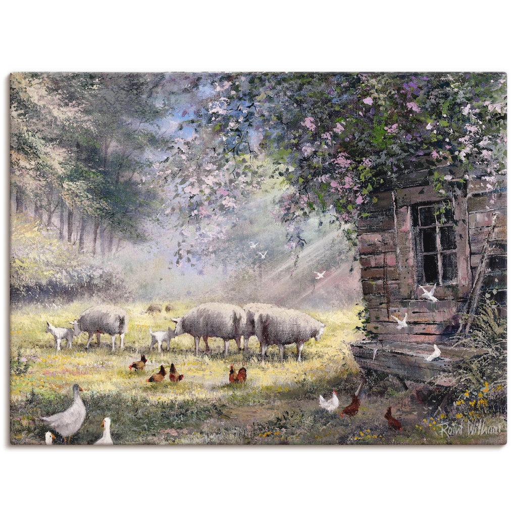 Artland Leinwandbild »Hühner und Schafe«, Haustiere, (1 St.)