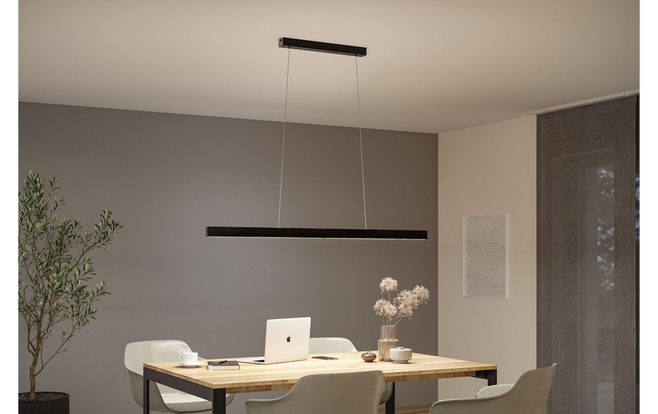 Paulmann LED Pendelleuchte »LED Touchless Sensor Aptare«, 1 flammig