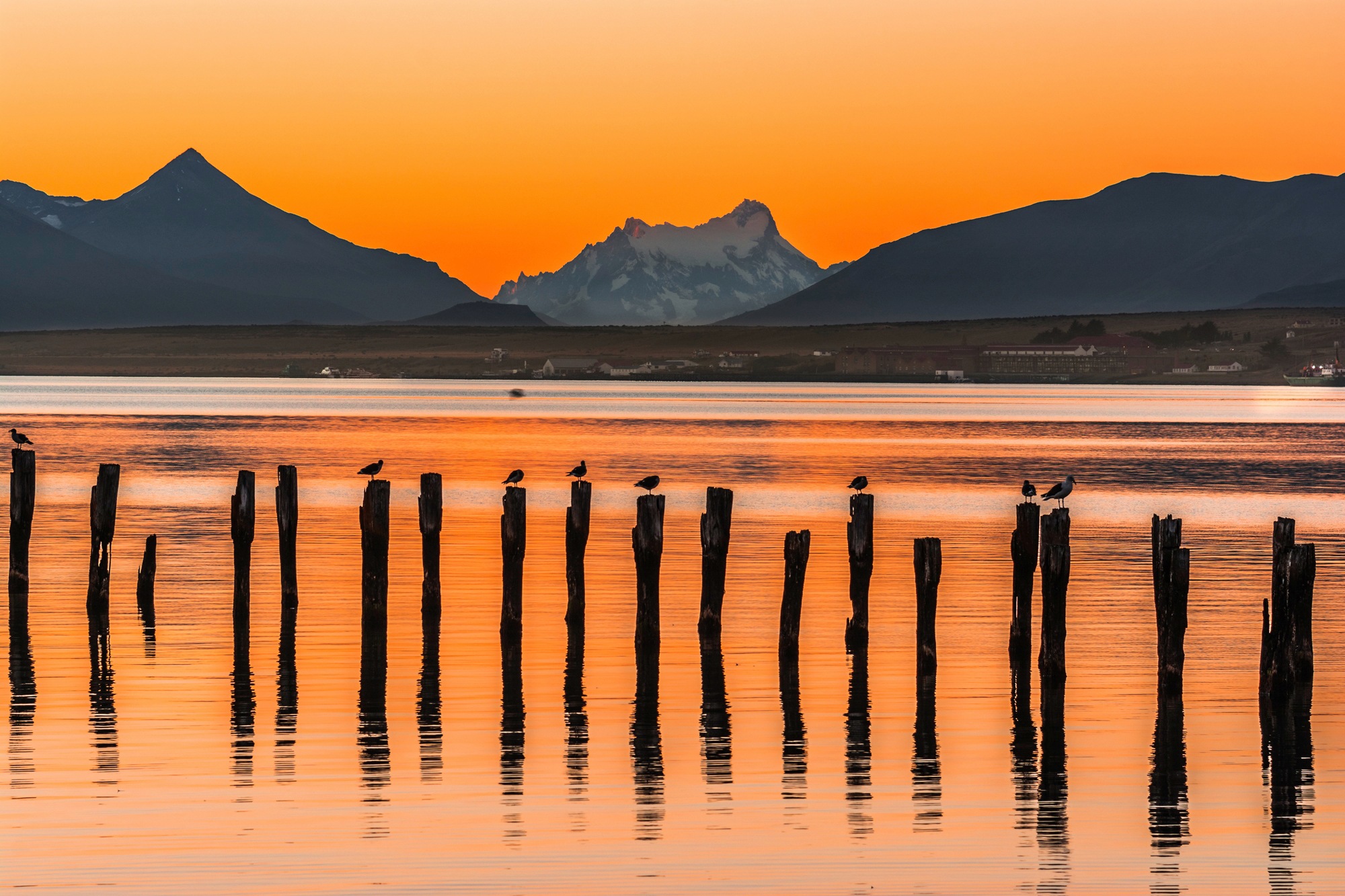 Image of Papermoon Fototapete »PUERTO NATALES-CHILE SEE GEBIRGE BLUMEN SONNE WALD STEG«, Vliestapete, hochwertiger Digitaldruck, inklusive Kleister bei Ackermann Versand Schweiz