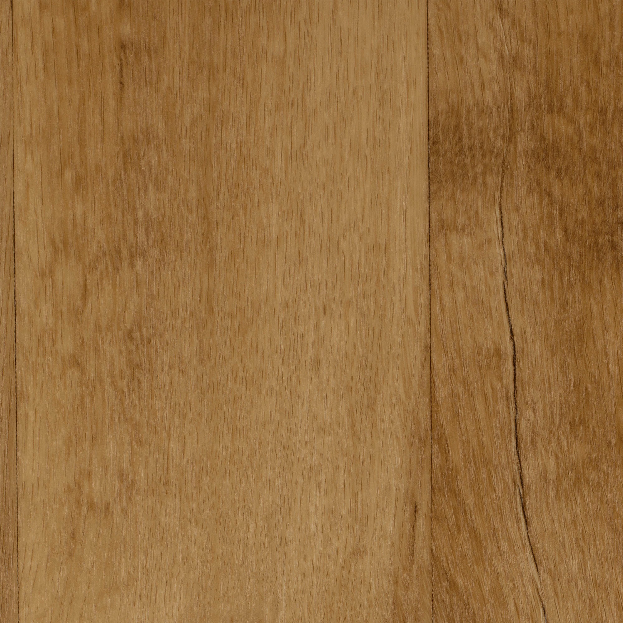 Image of Bodenmeister Vinylboden »PVC Bodenbelag Holzoptik Diele Eiche«, Meterware, Breite 200/300/400 cm bei Ackermann Versand Schweiz
