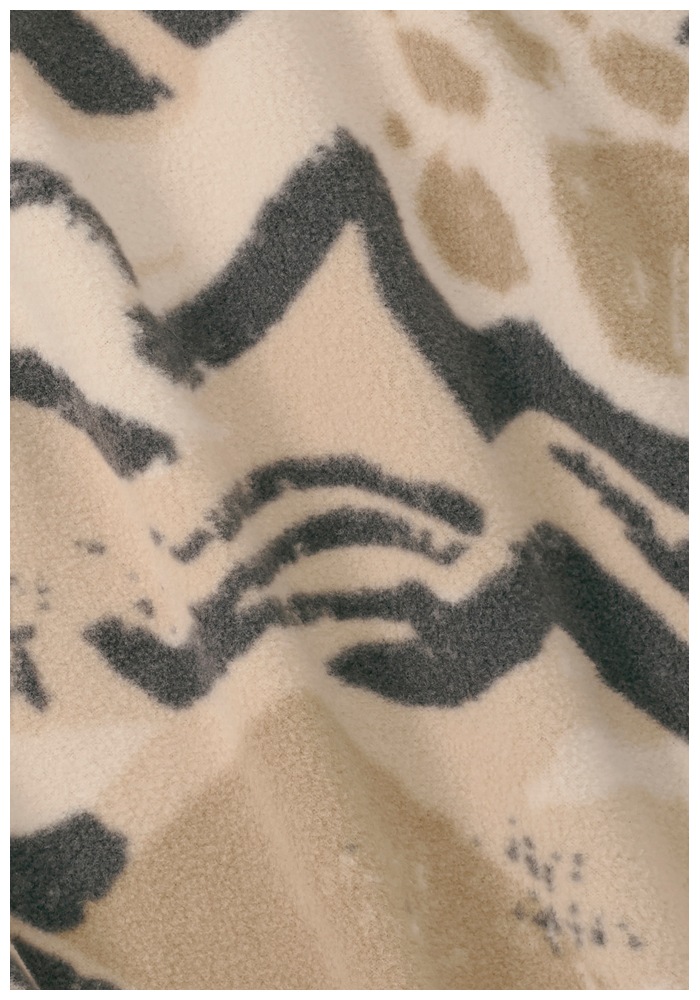 Jack Wolfskin Pull en polaire »PAW ERA 100 PRINT HZ M«
