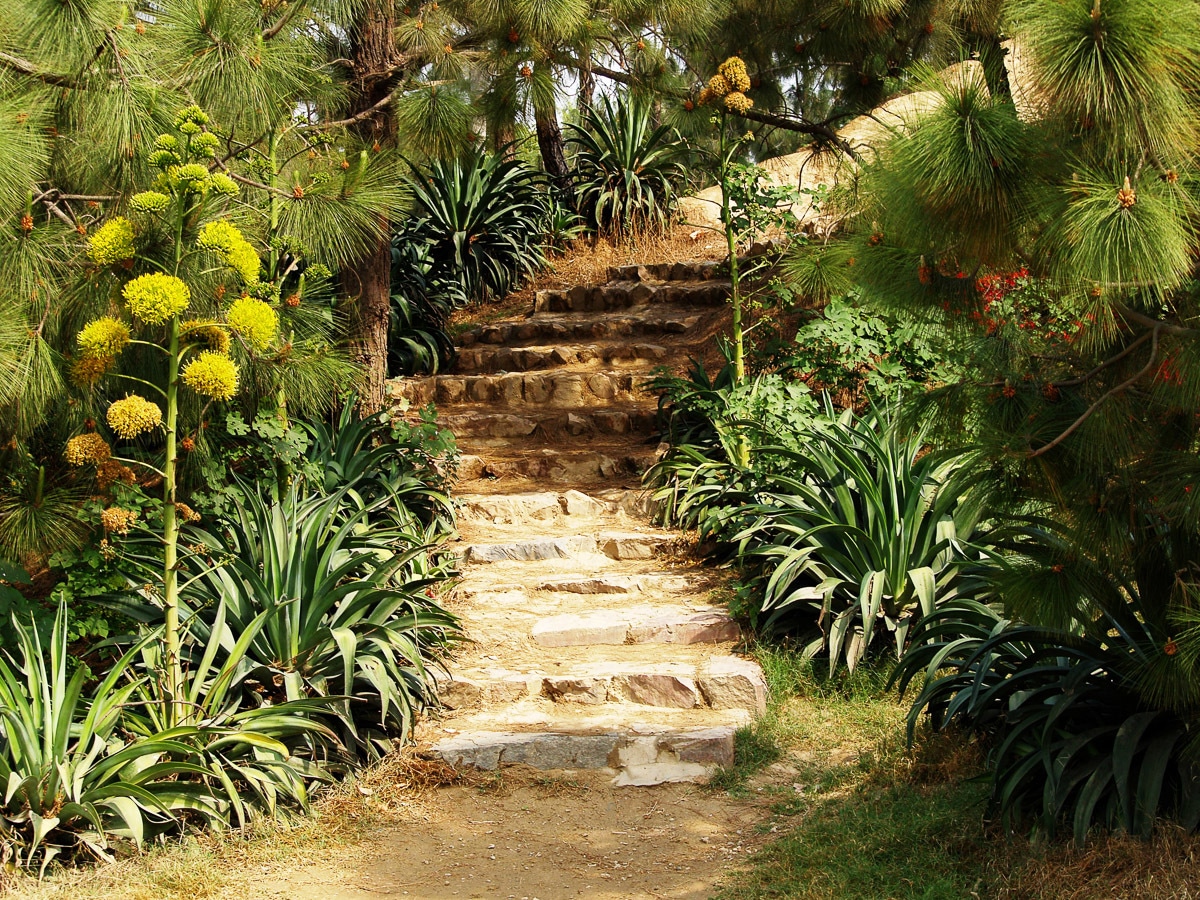 Image of Papermoon Fototapete "Hill Garden"