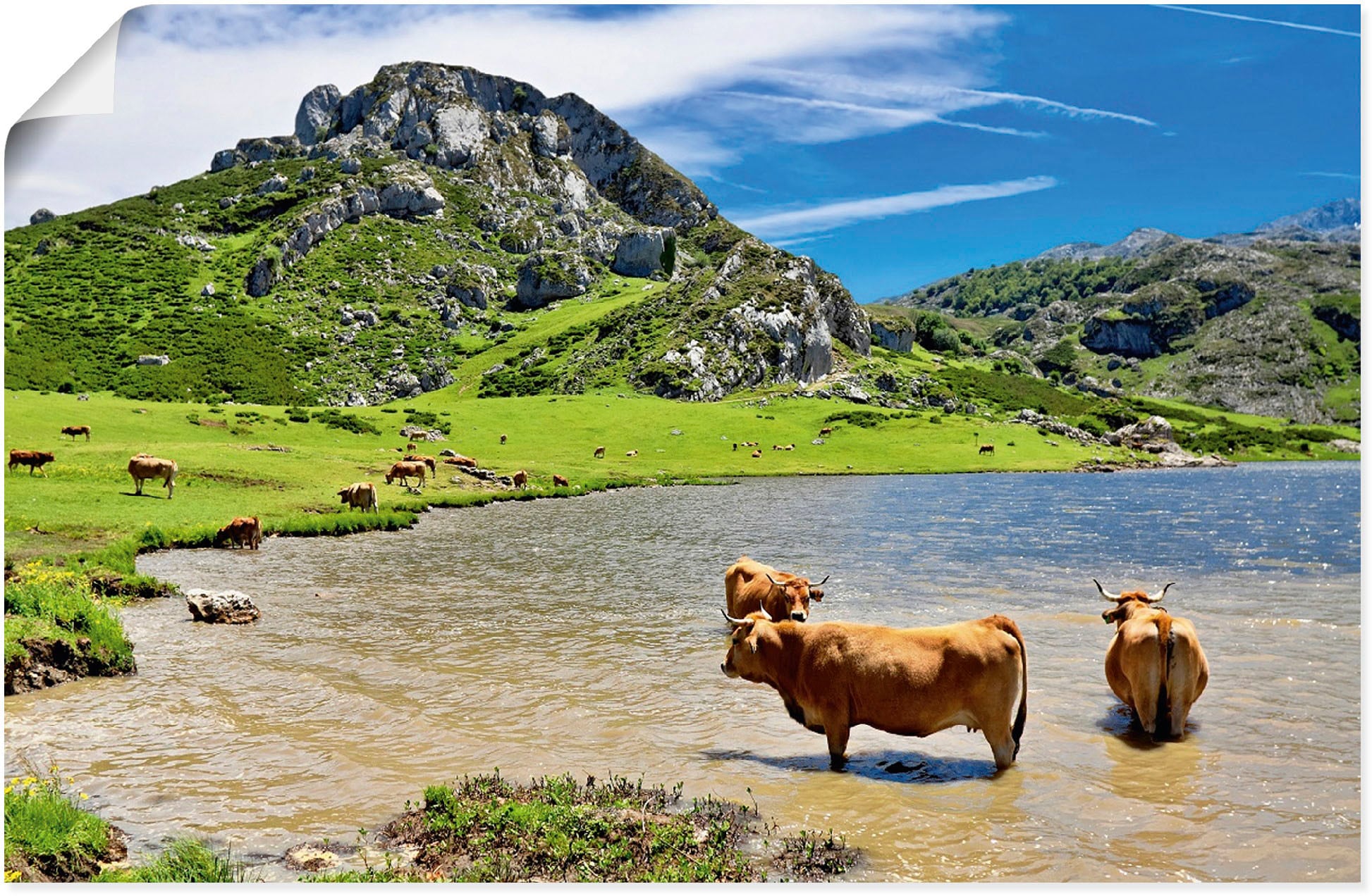 Artland Wandbild »Bergwelt in Asturien & (1 Berge St.), im Alpenbilder, Wandaufkleber in als - bequem oder Poster Leinwandbild, Grössen Kühe versch. Alubild, kaufen See«