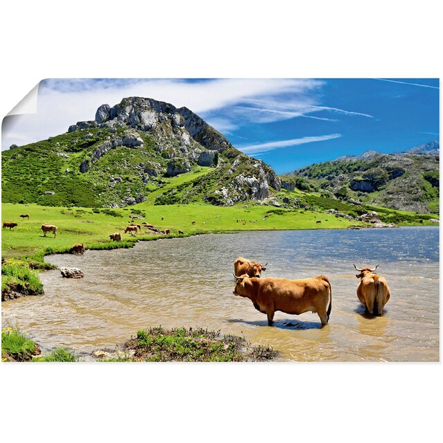 Artland Wandbild »Bergwelt in Asturien - Kühe im See«, Berge & Alpenbilder,  (1 St.), als Alubild, Leinwandbild, Wandaufkleber oder Poster in versch.  Grössen bequem kaufen