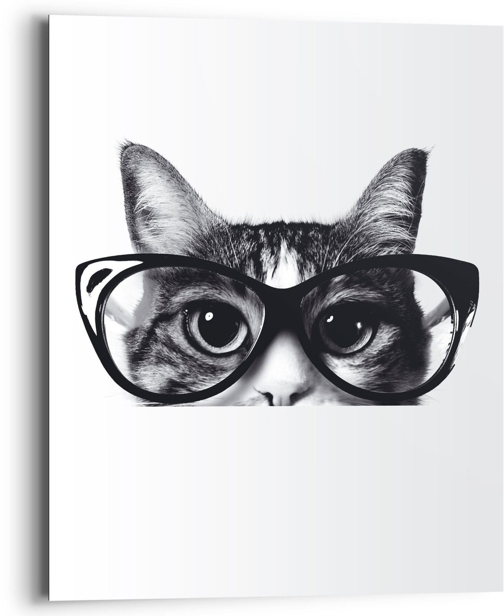 Image of Reinders! Wandbild »Wandbild Katze mit Brille Tiermotiv - Brillengläser - Niedlich«, Katzen, (1 St.) bei Ackermann Versand Schweiz